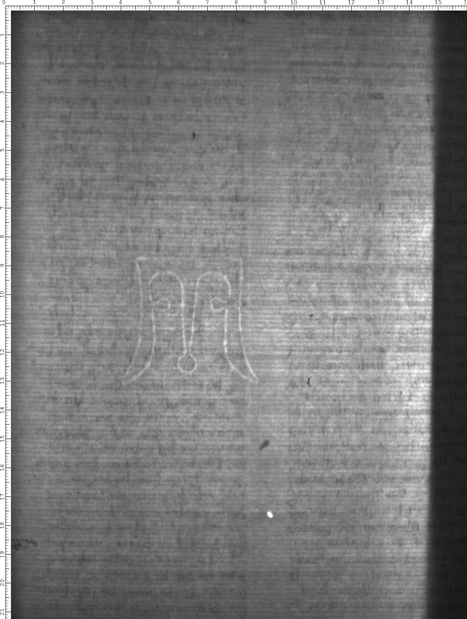 Watermark