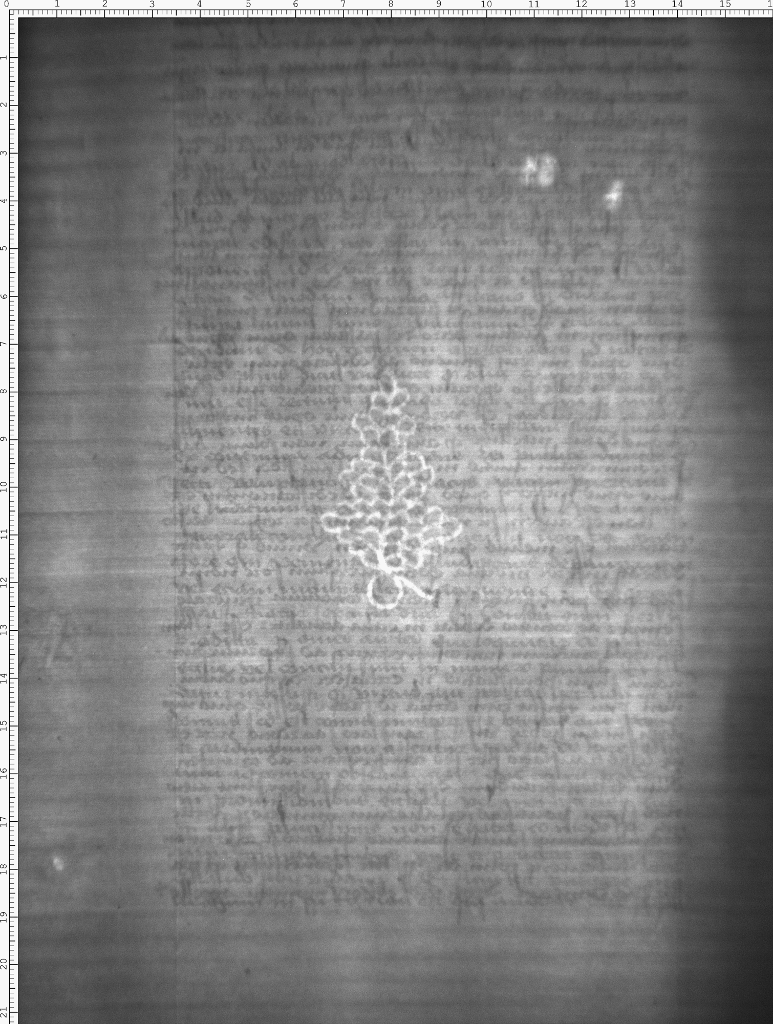 Watermark