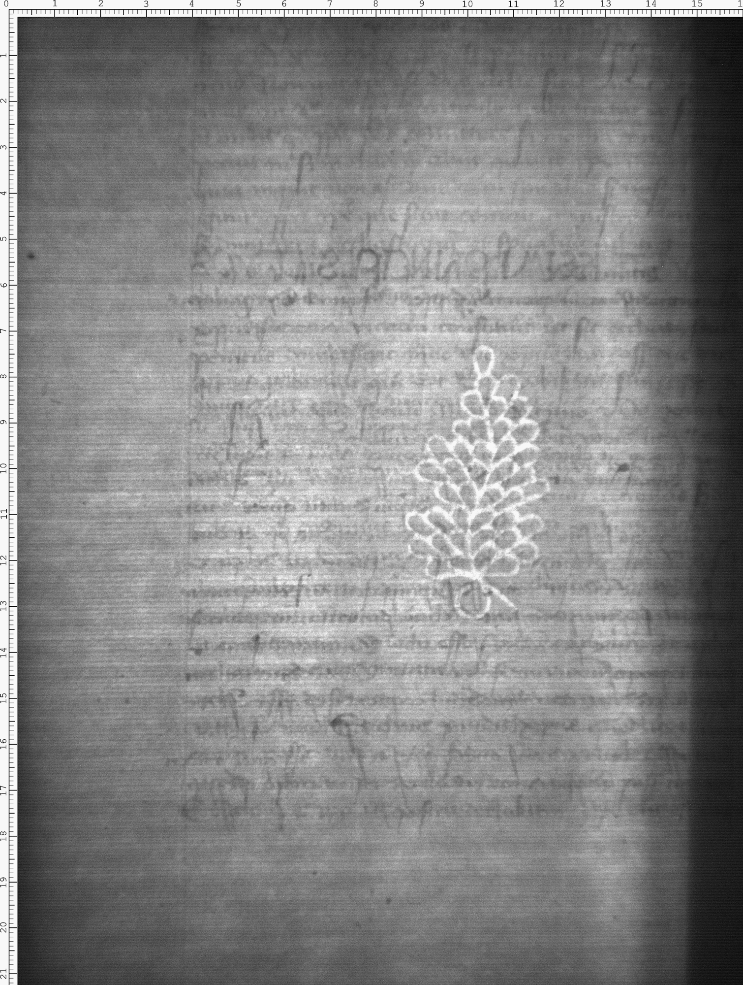 Watermark