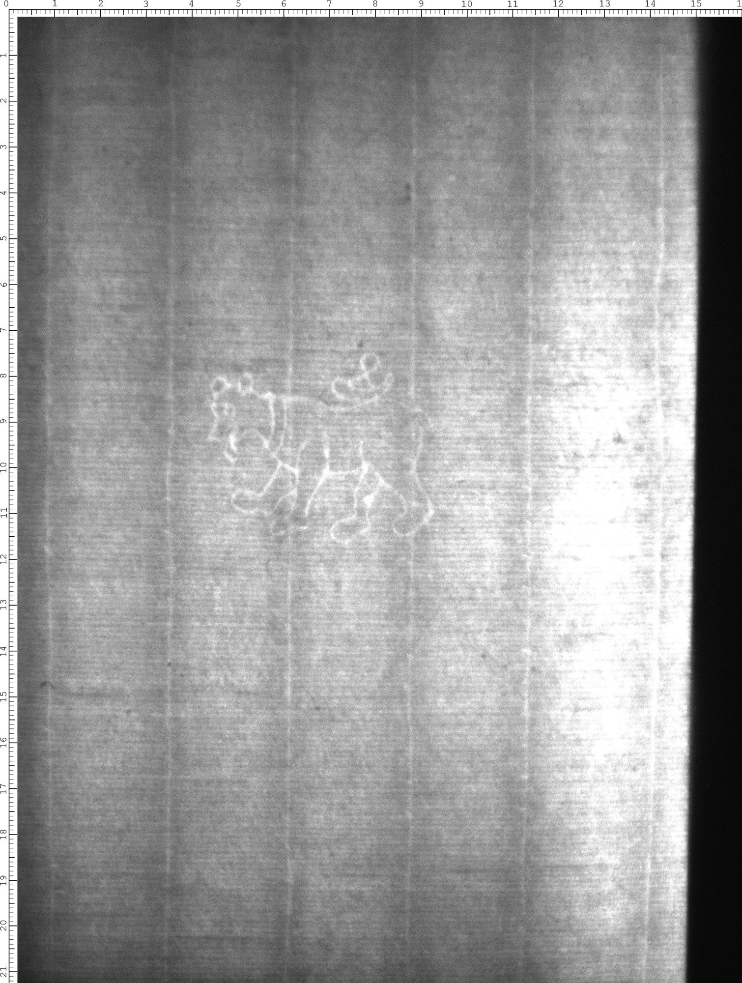 Watermark