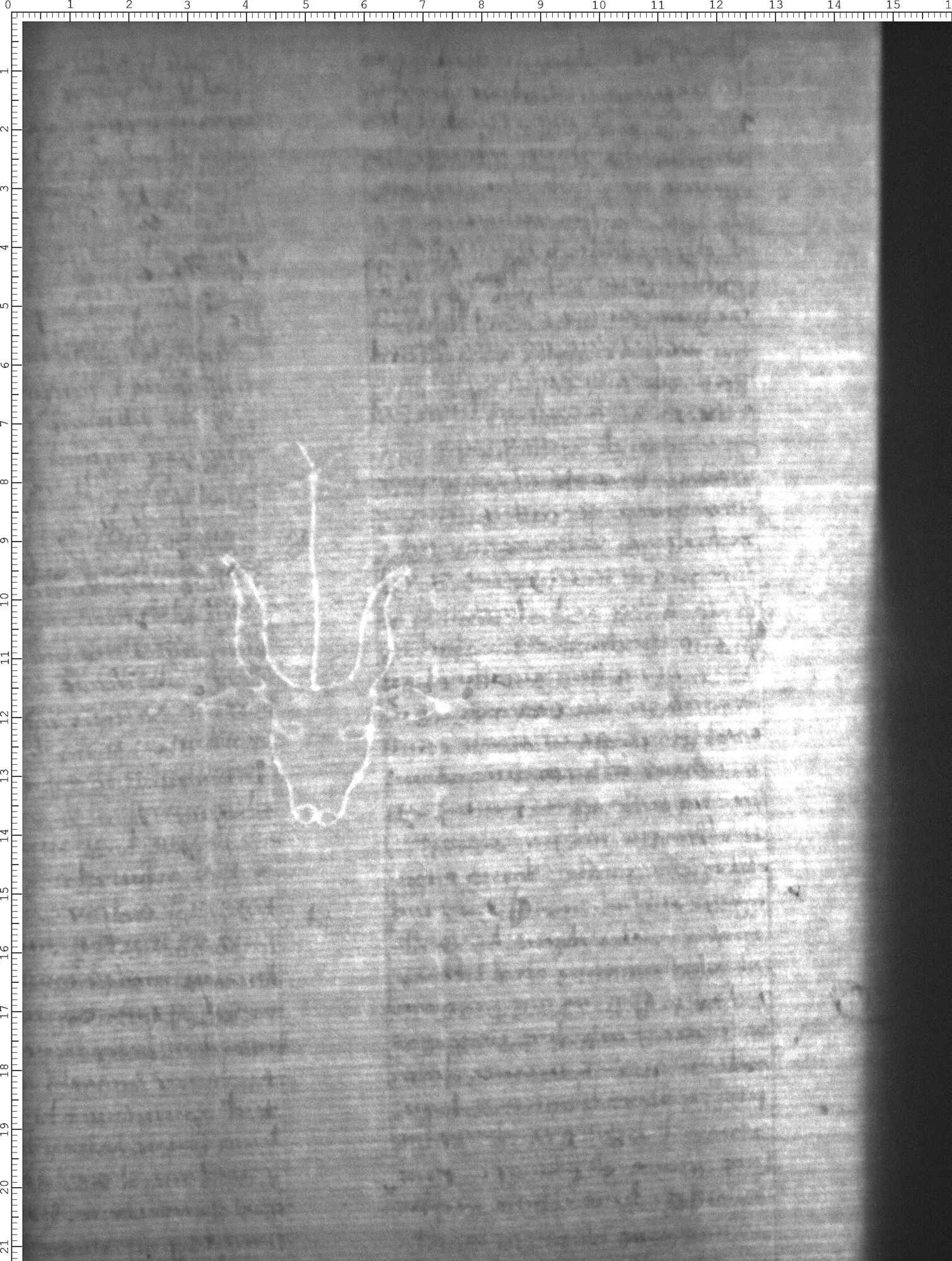 Watermark