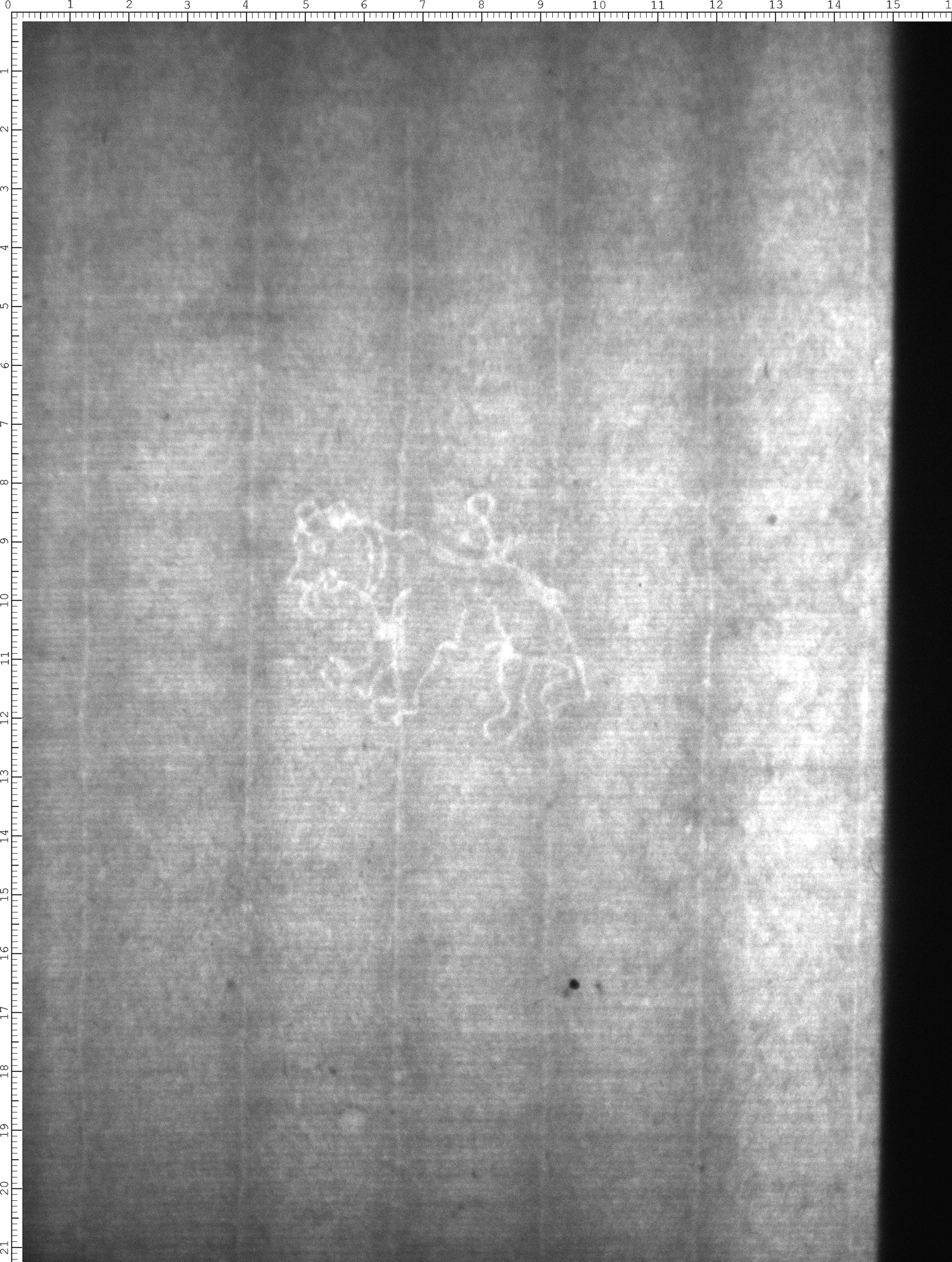 Watermark
