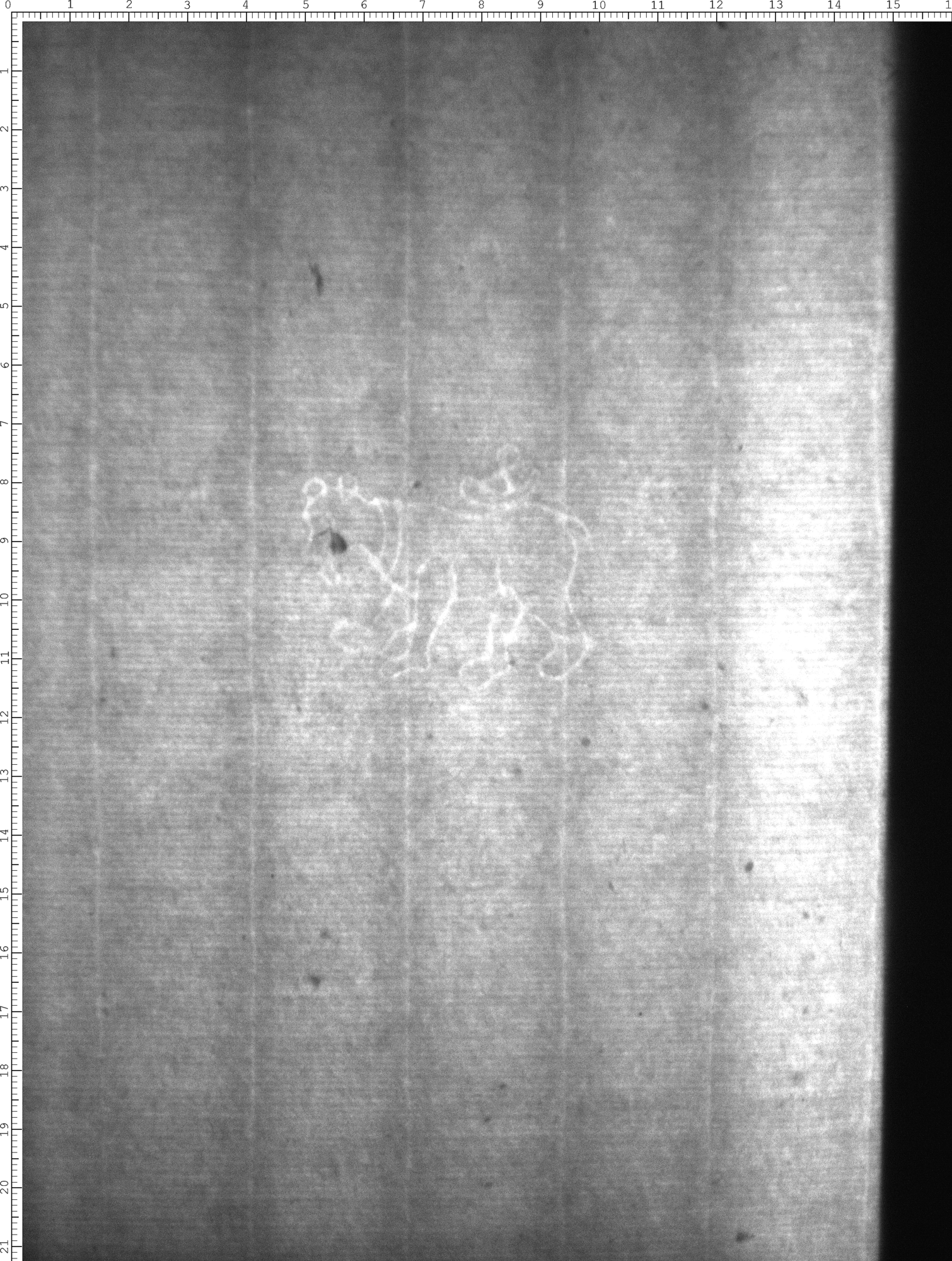 Watermark
