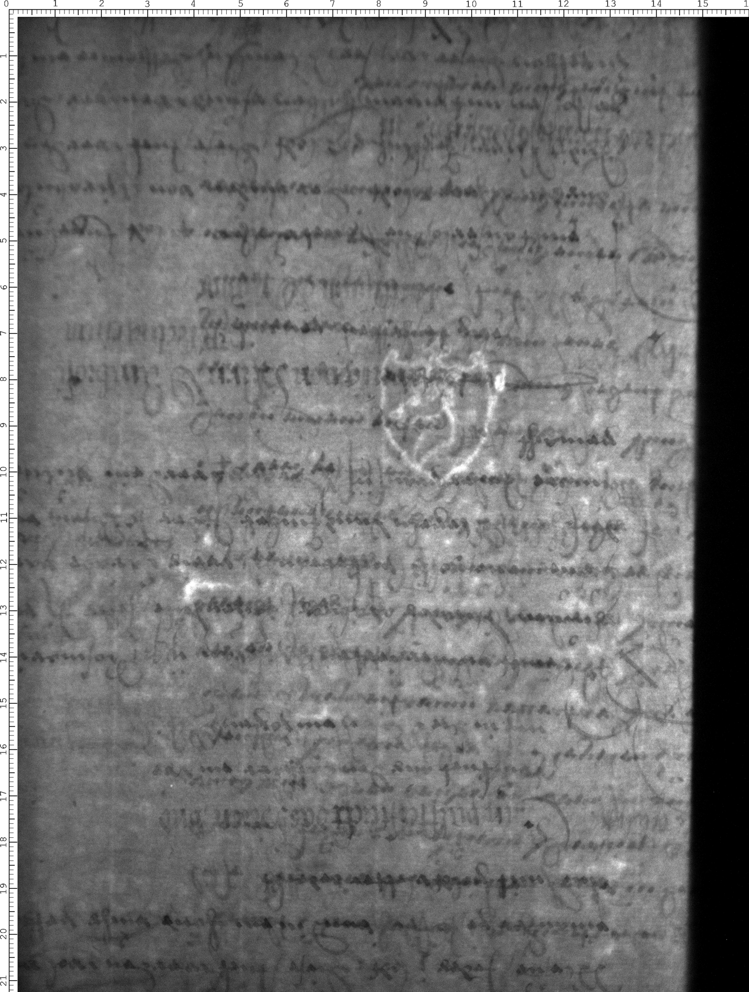 Watermark