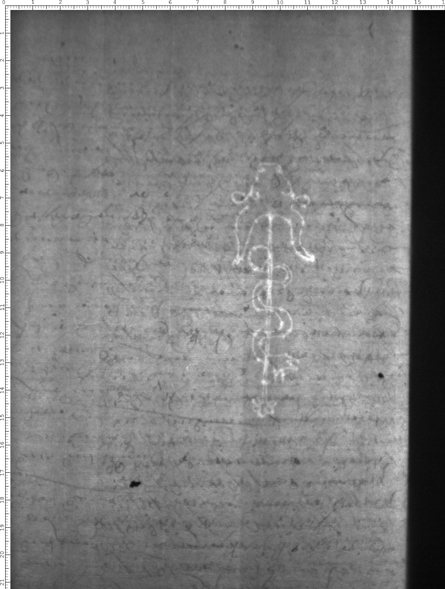 Watermark