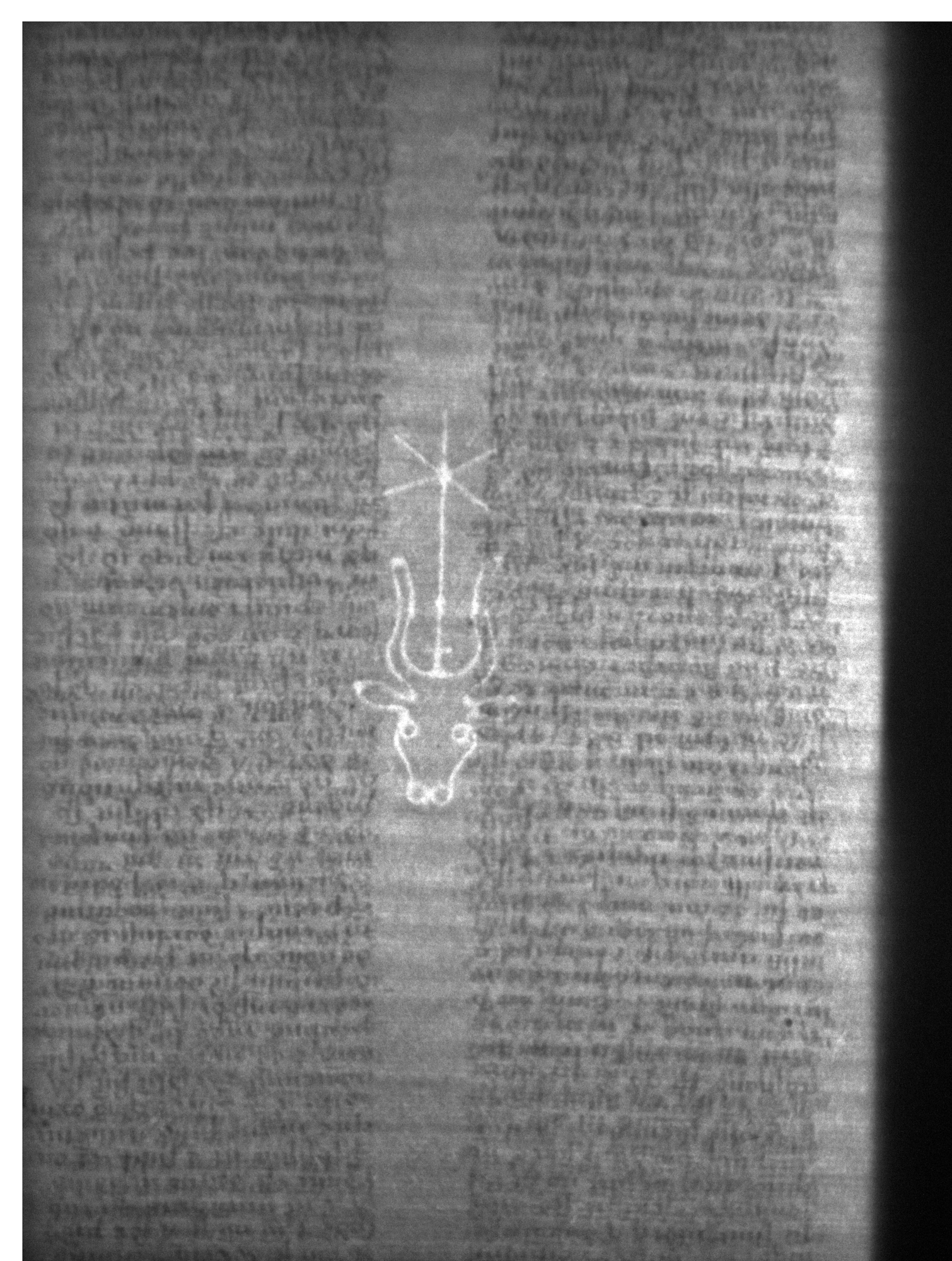 Watermark