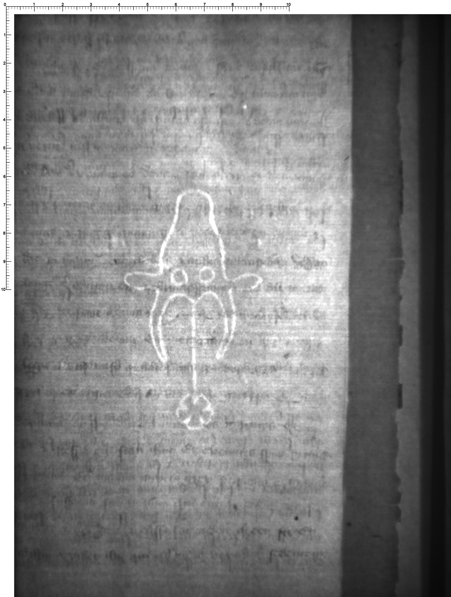 Watermark