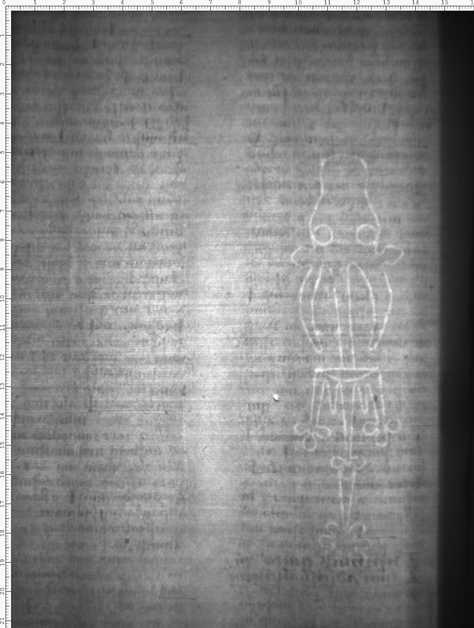 Watermark