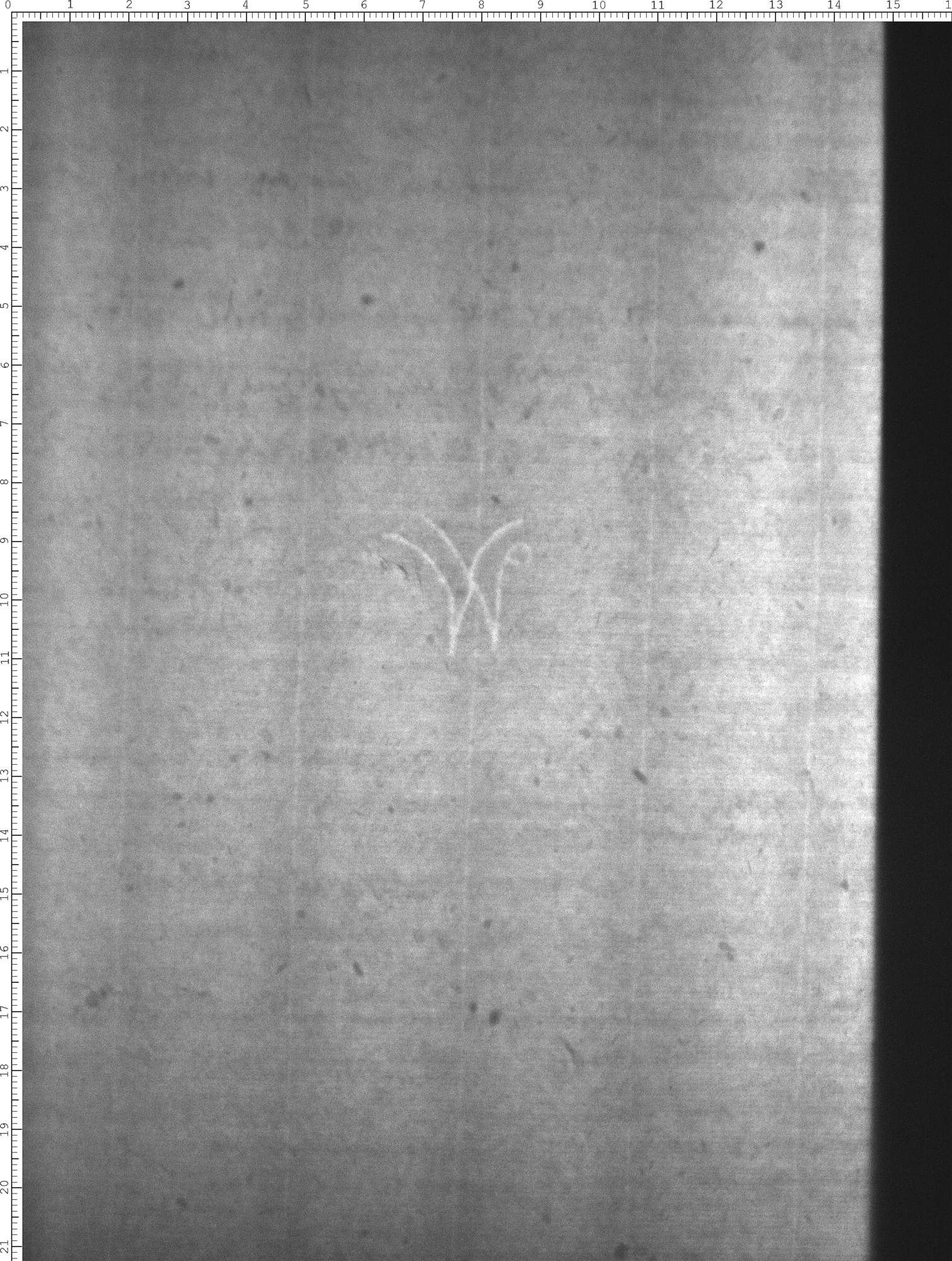Watermark