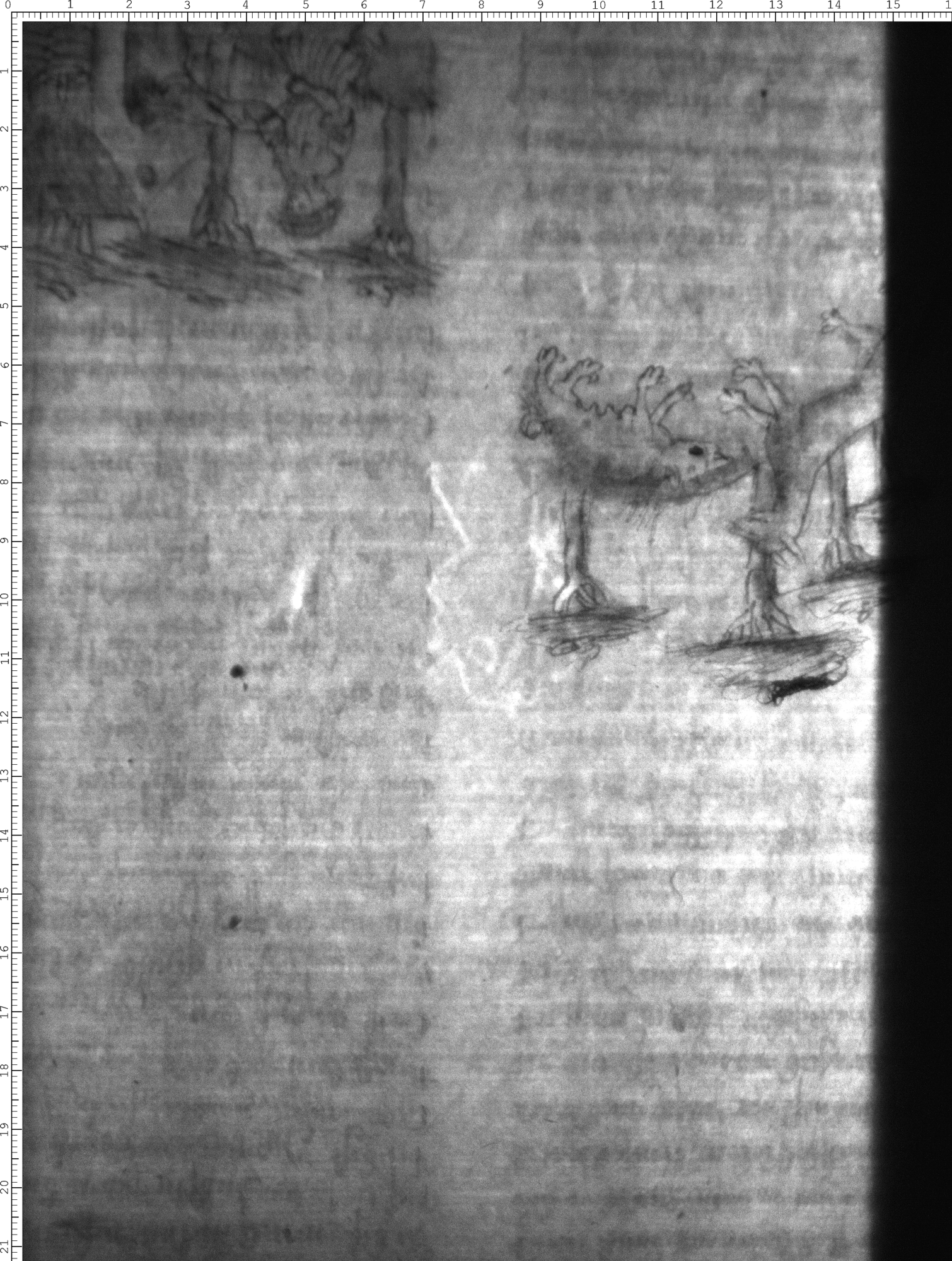 Watermark