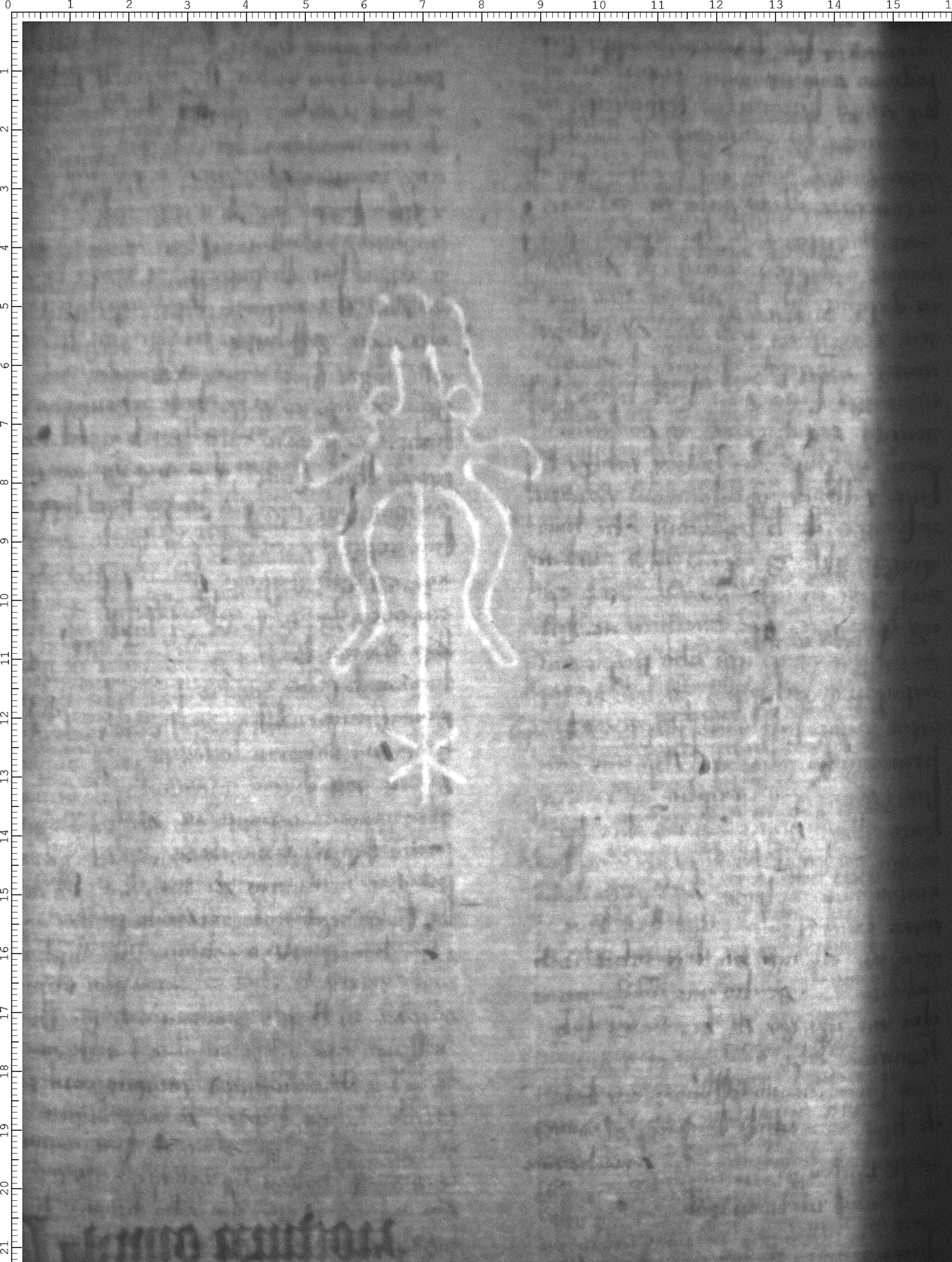 Watermark