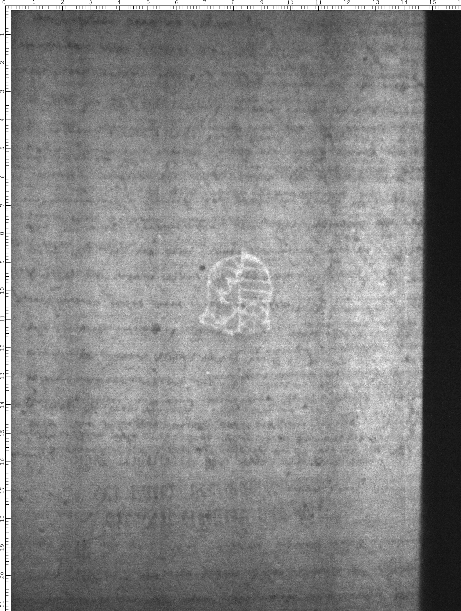 Watermark