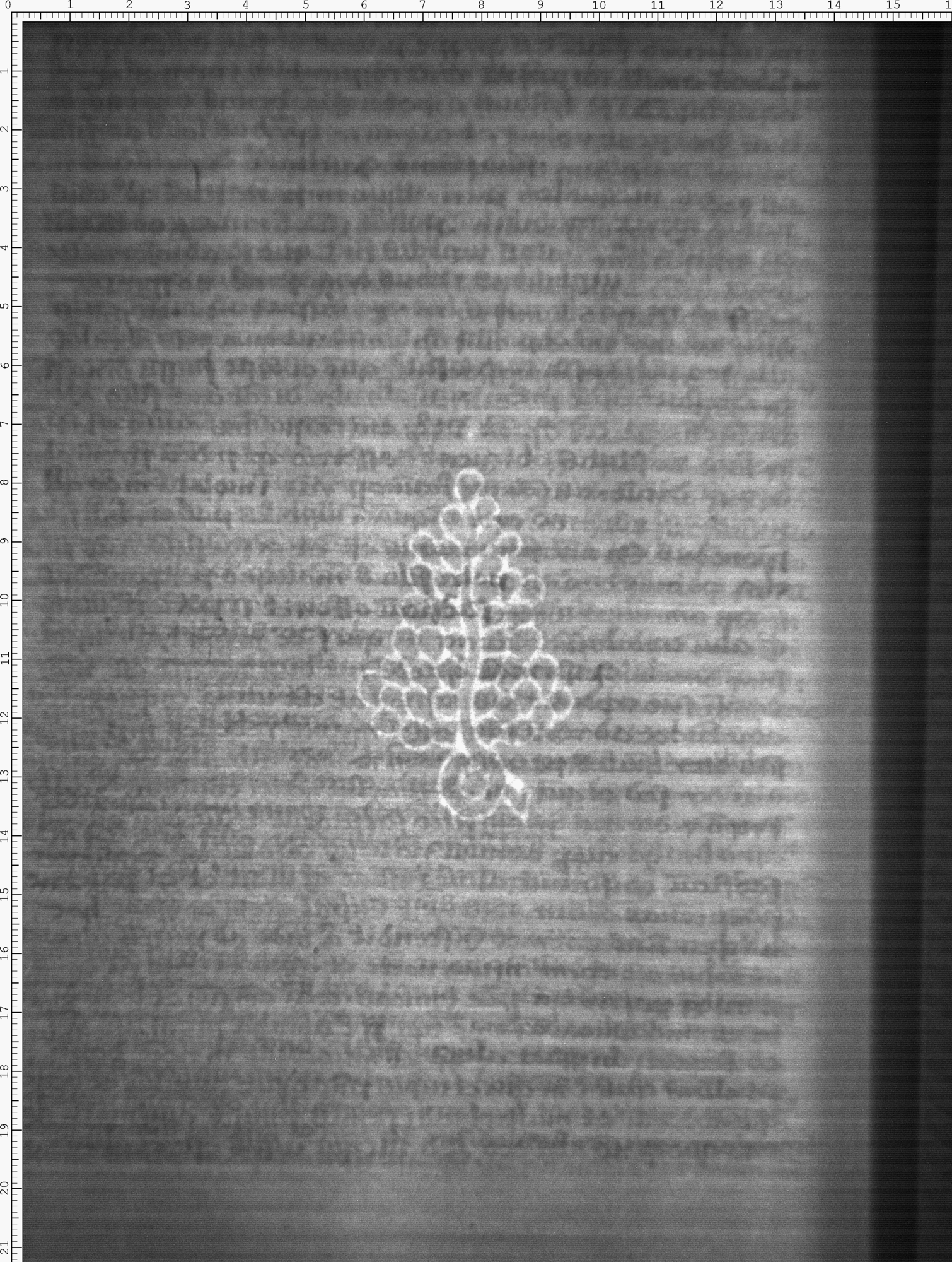 Watermark