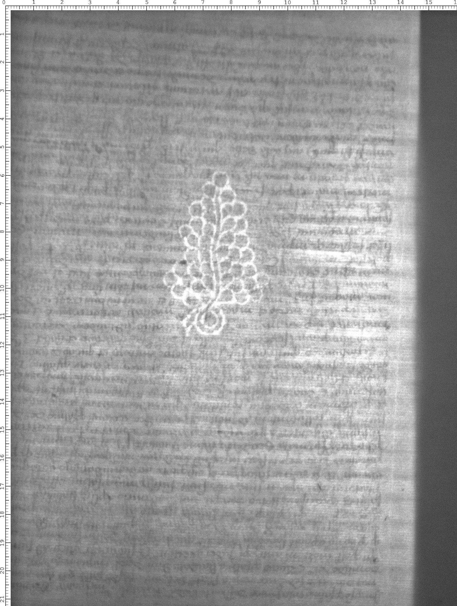 Watermark