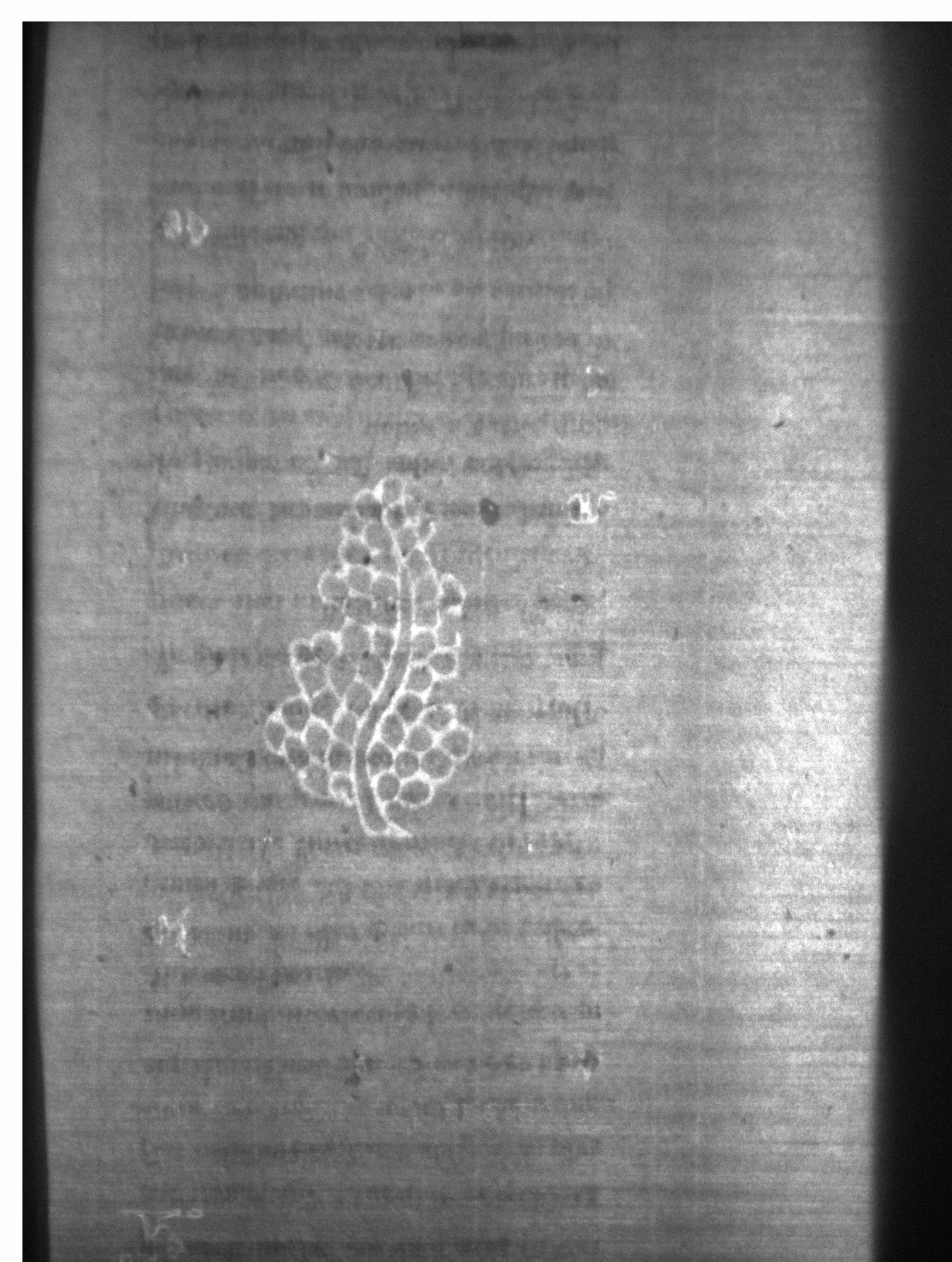 Watermark