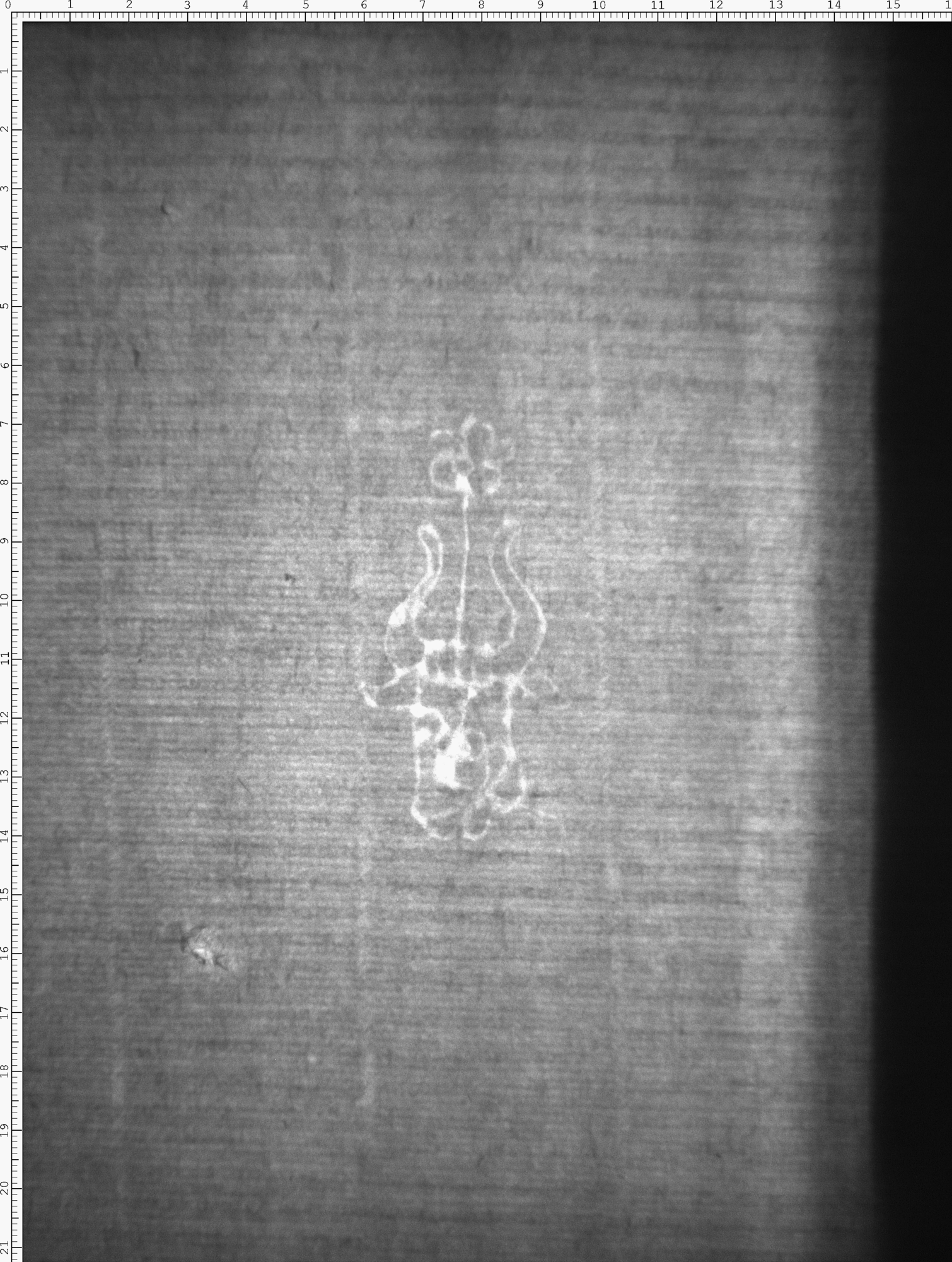 Watermark