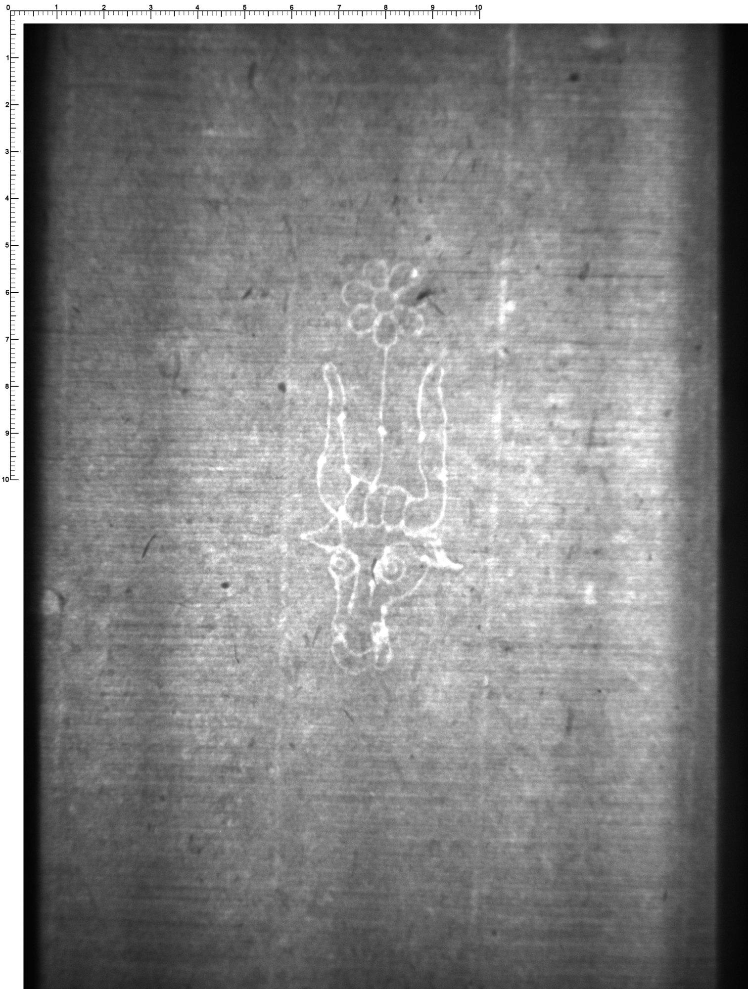 Watermark
