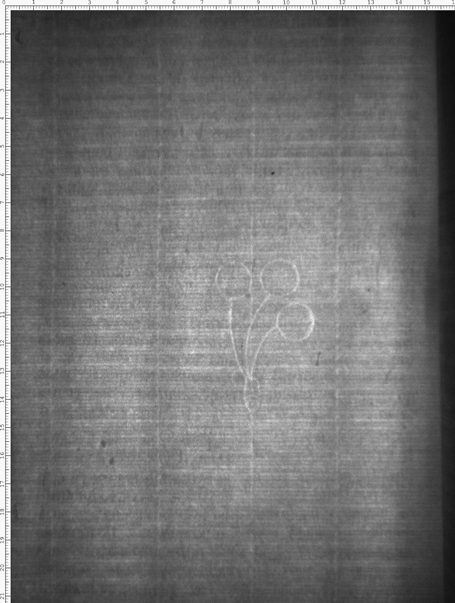 Watermark