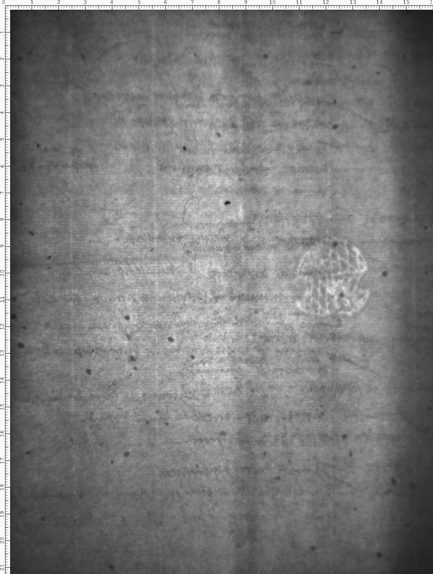 Watermark