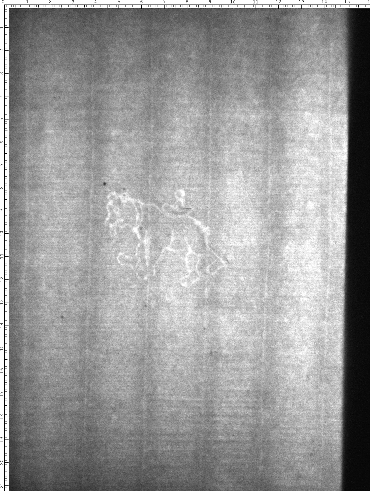 Watermark