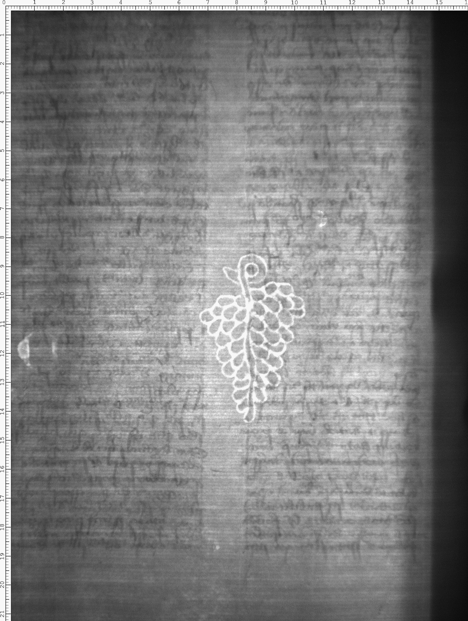 Watermark