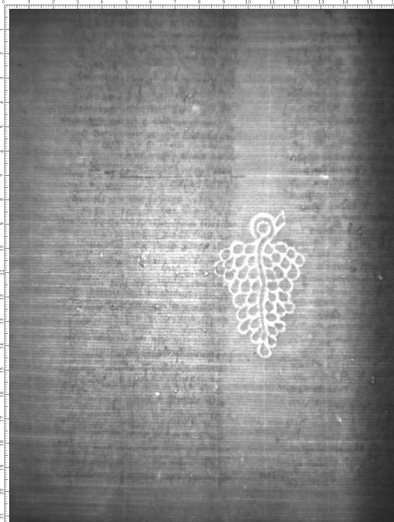Watermark