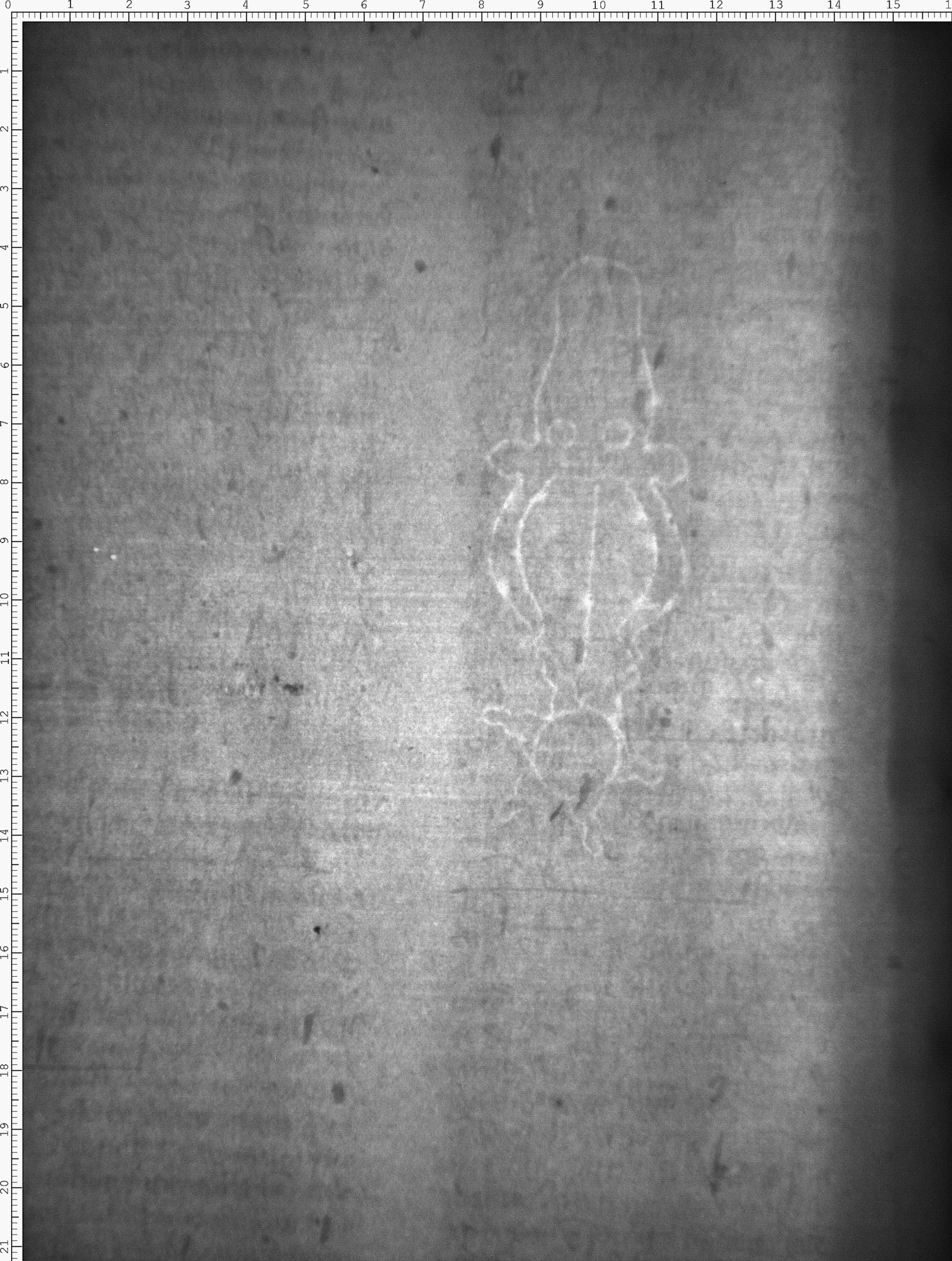 Watermark