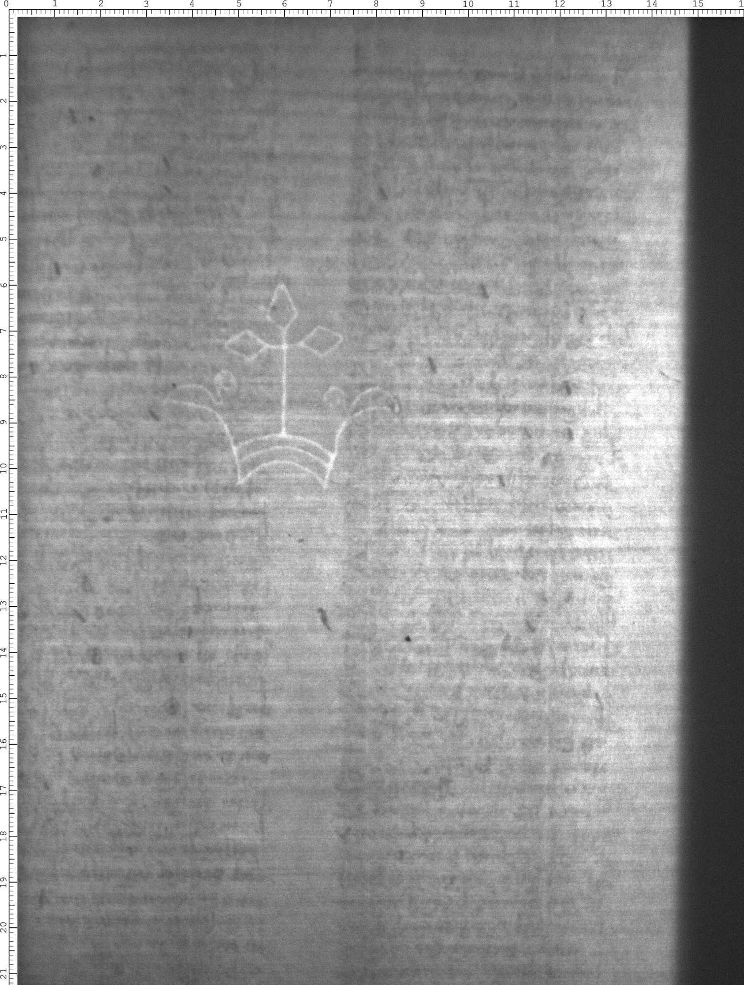 Watermark