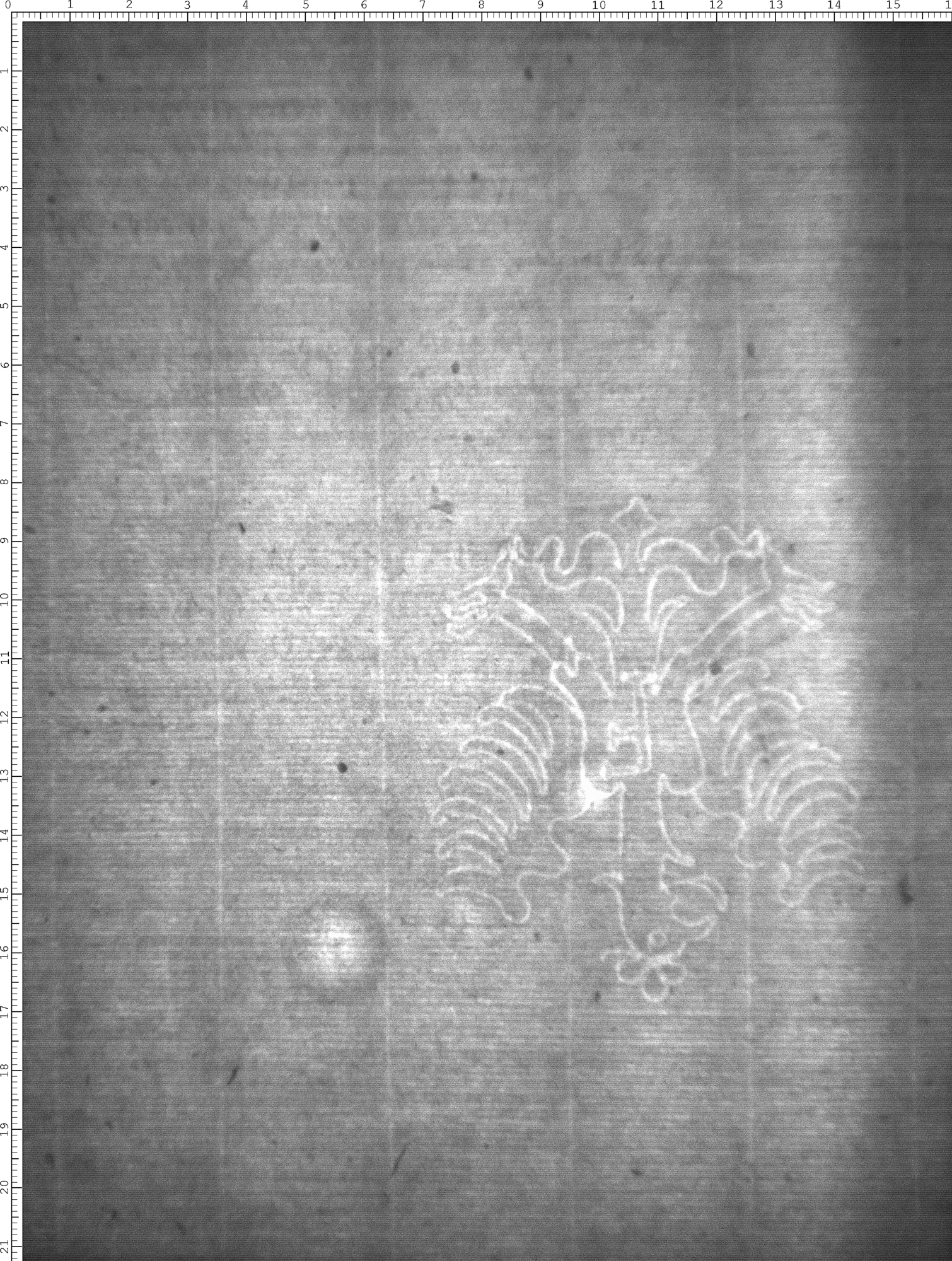 Watermark