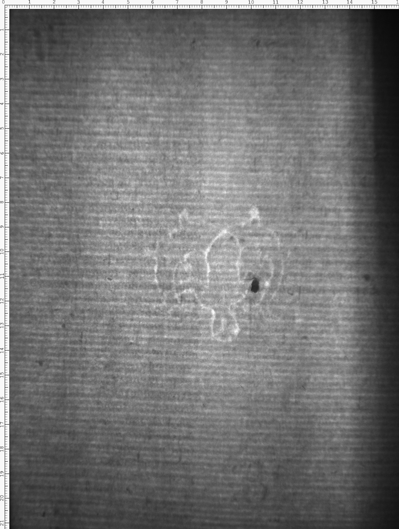 Watermark