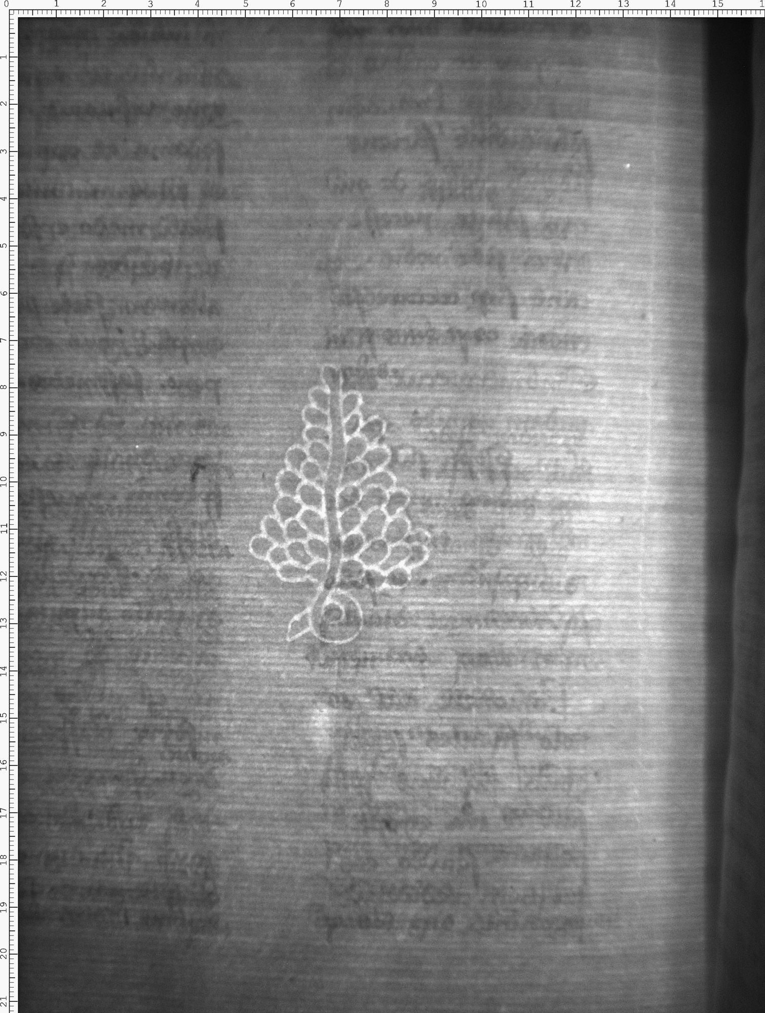 Watermark