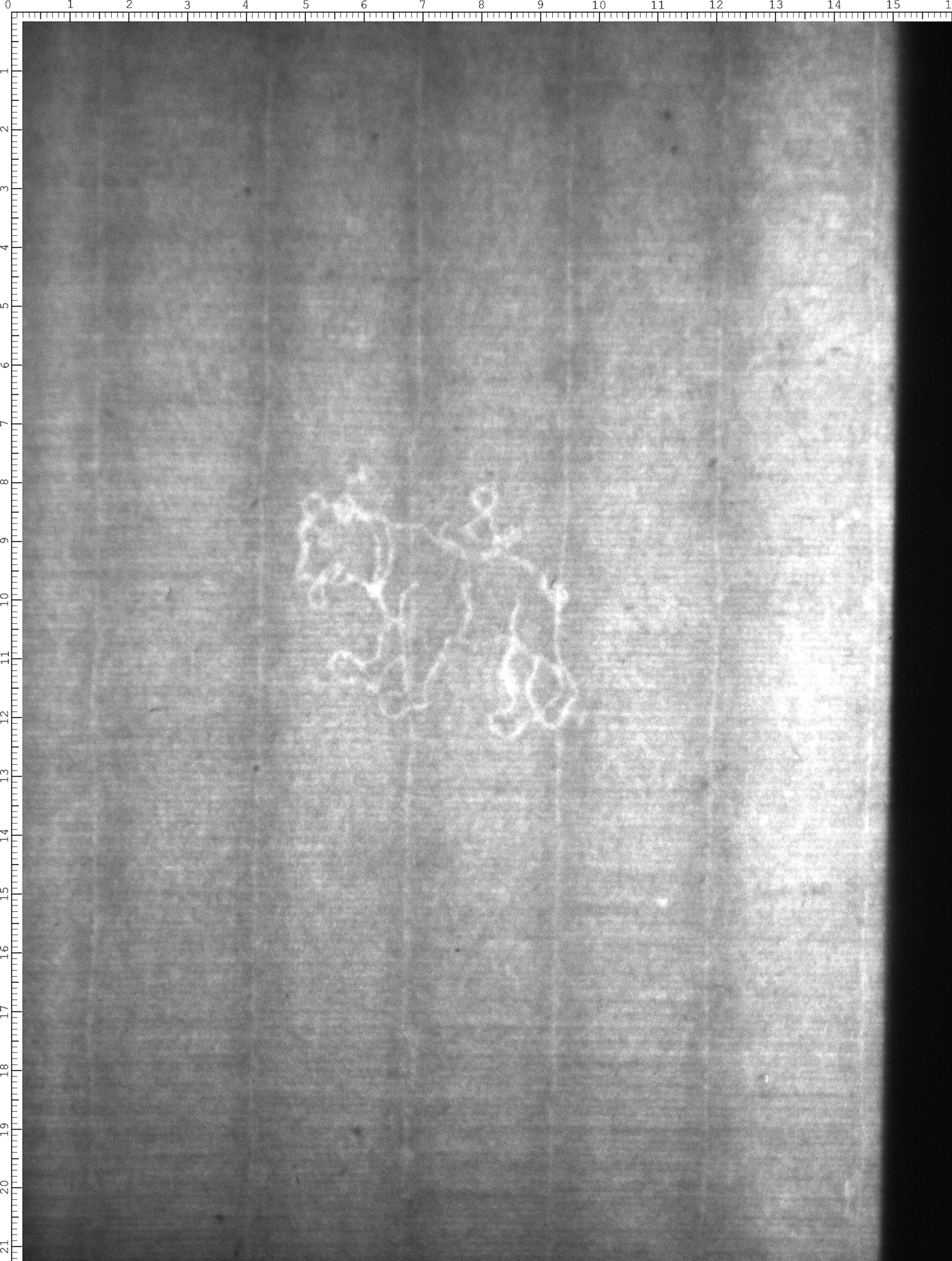Watermark