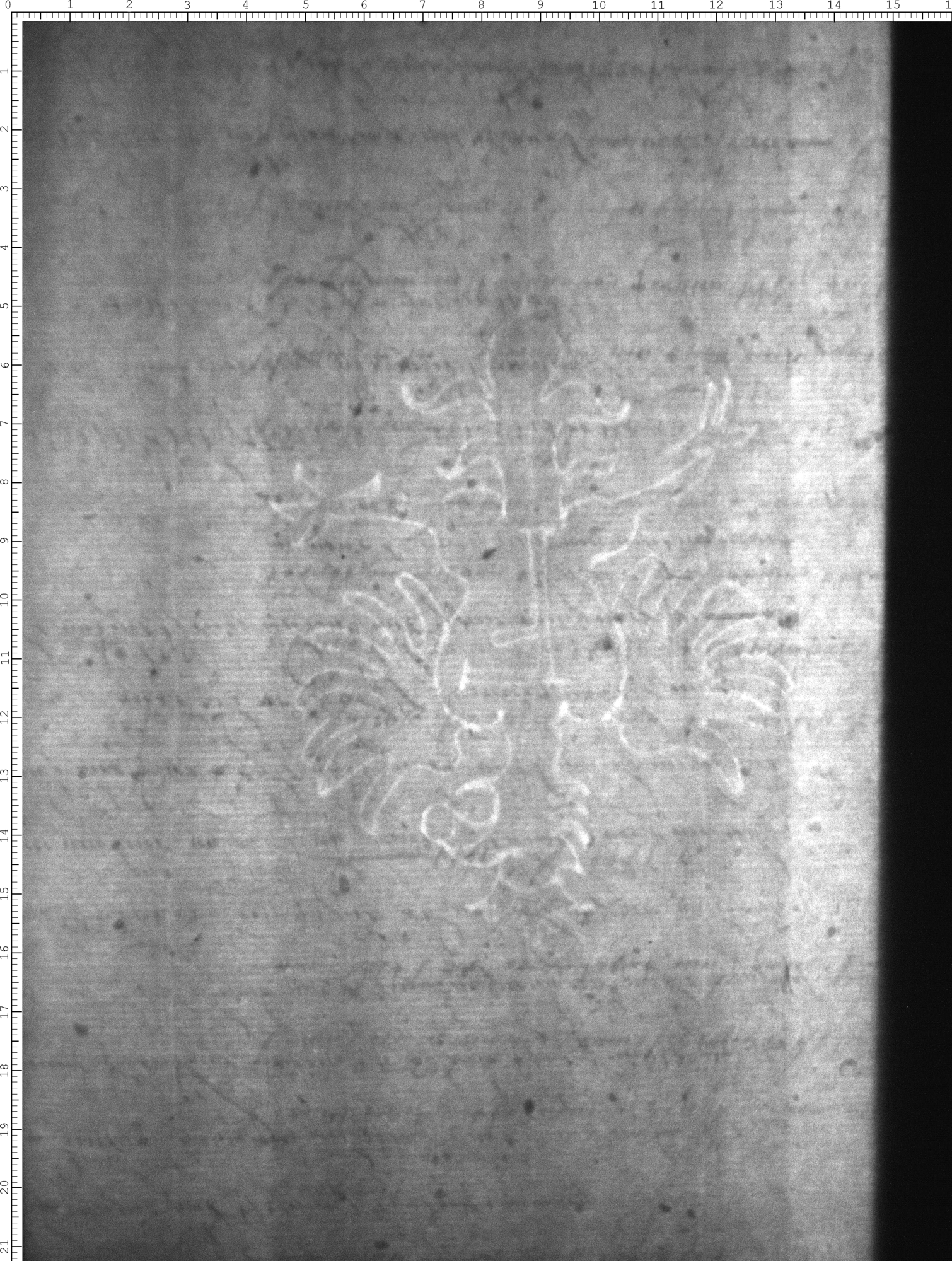 Watermark
