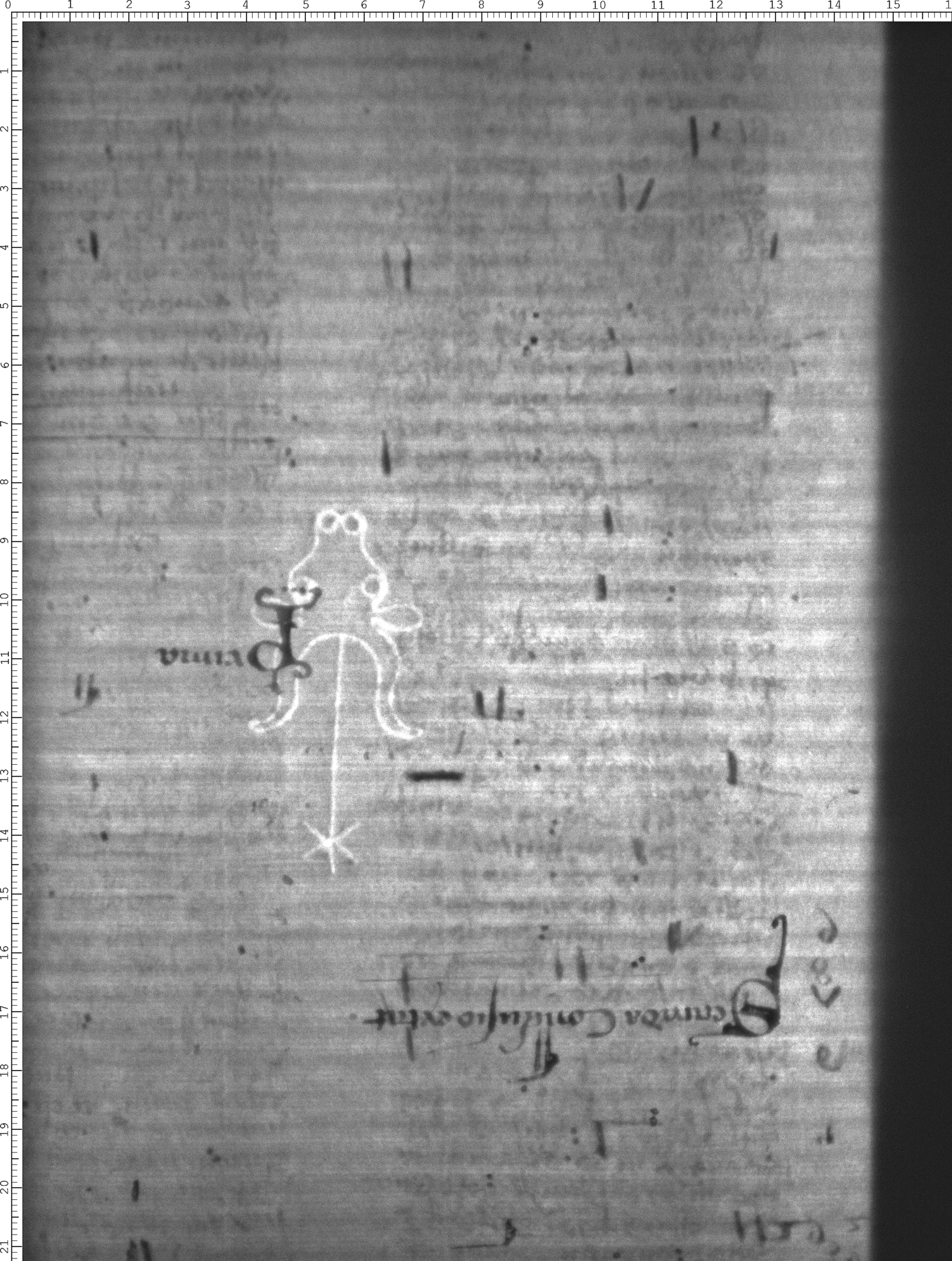 Watermark