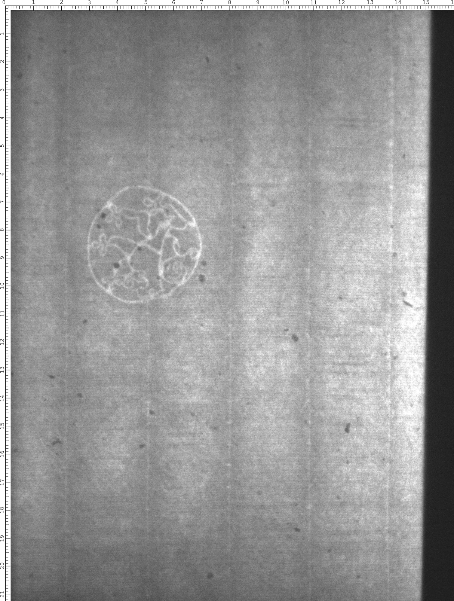 Watermark