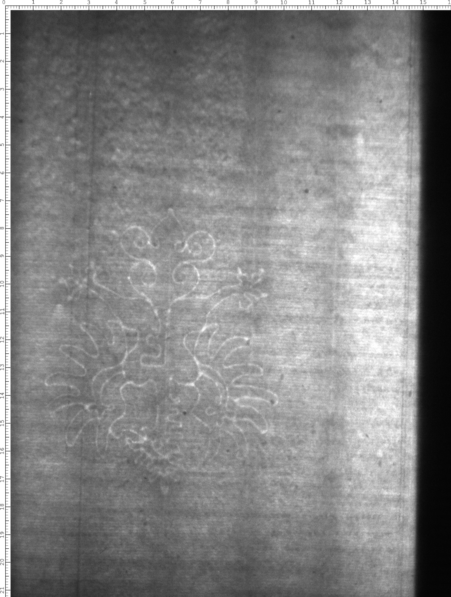 Watermark