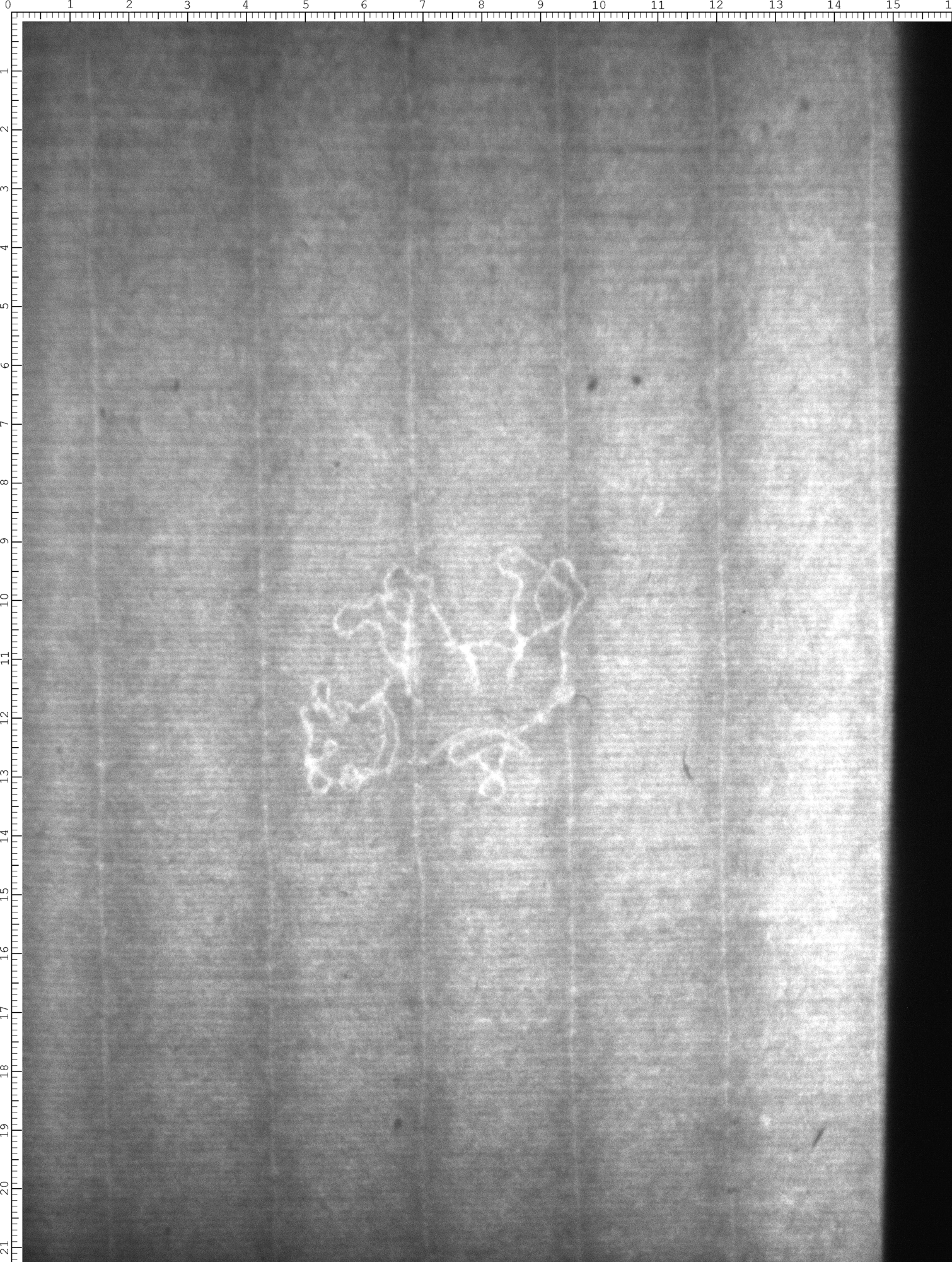 Watermark