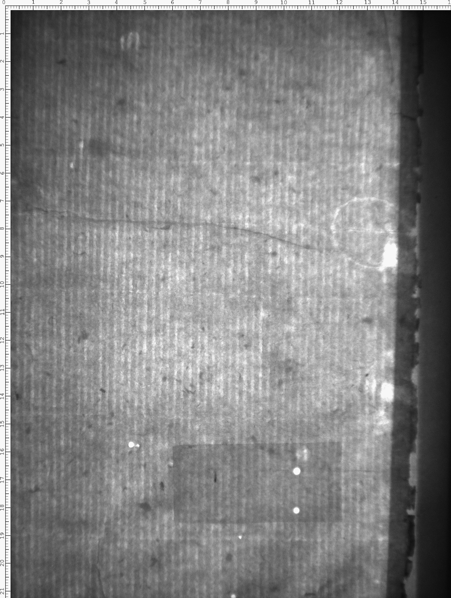 Watermark