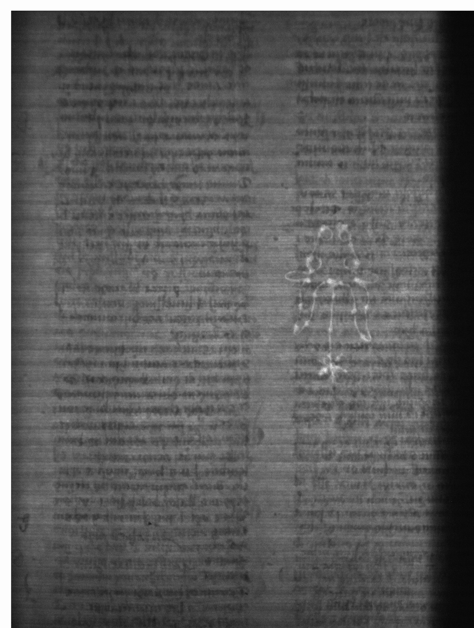 Watermark