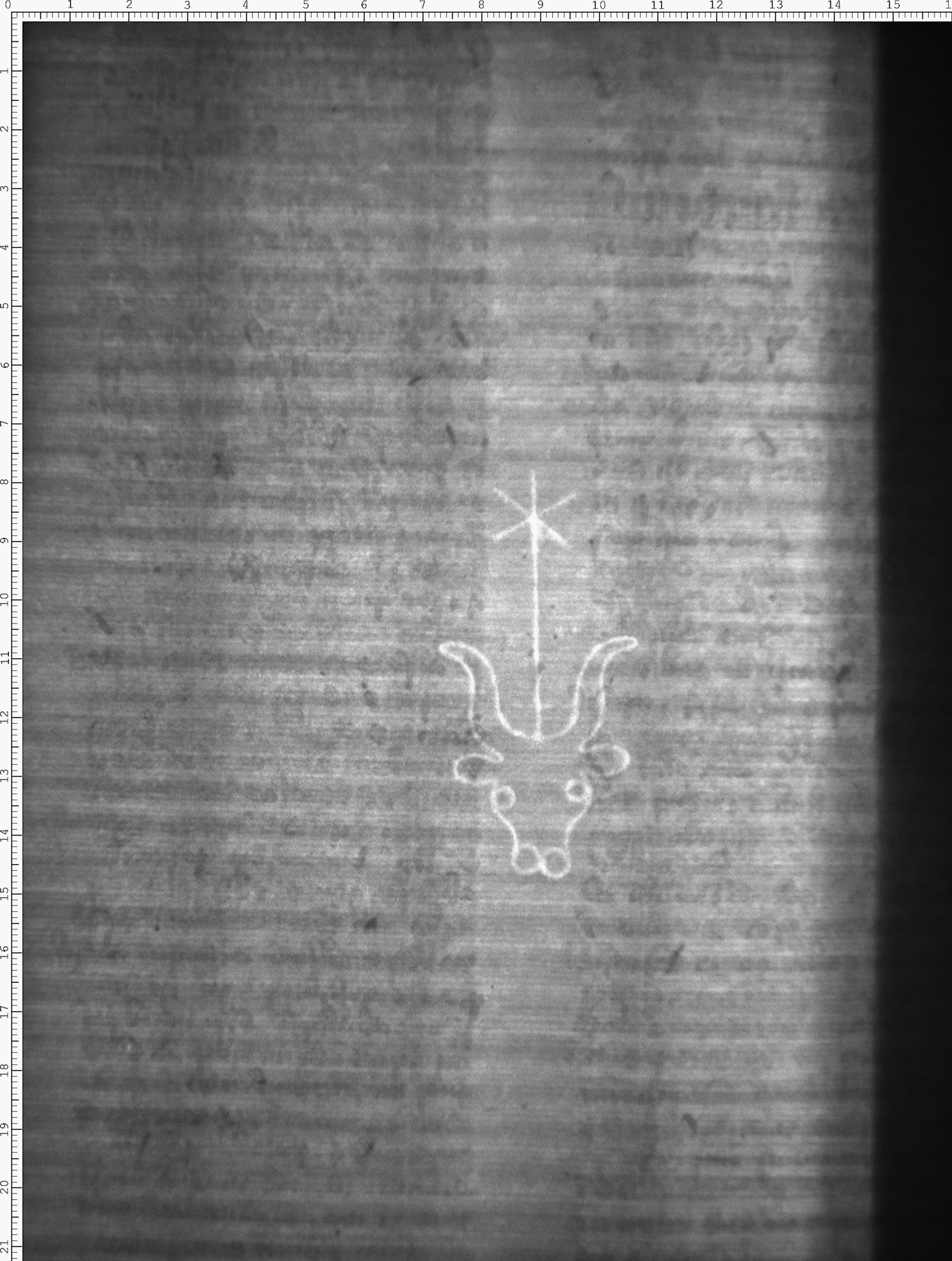 Watermark