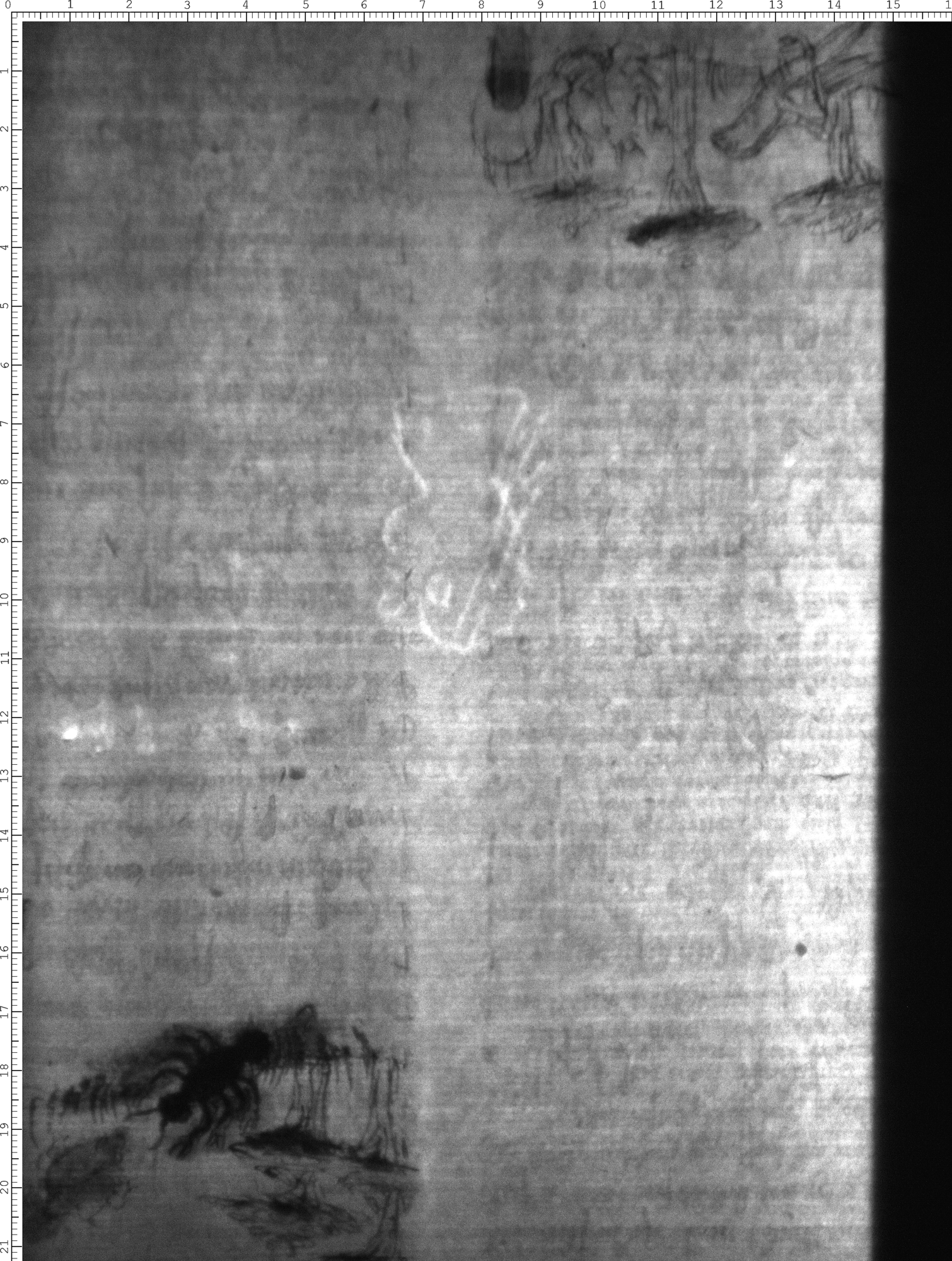 Watermark