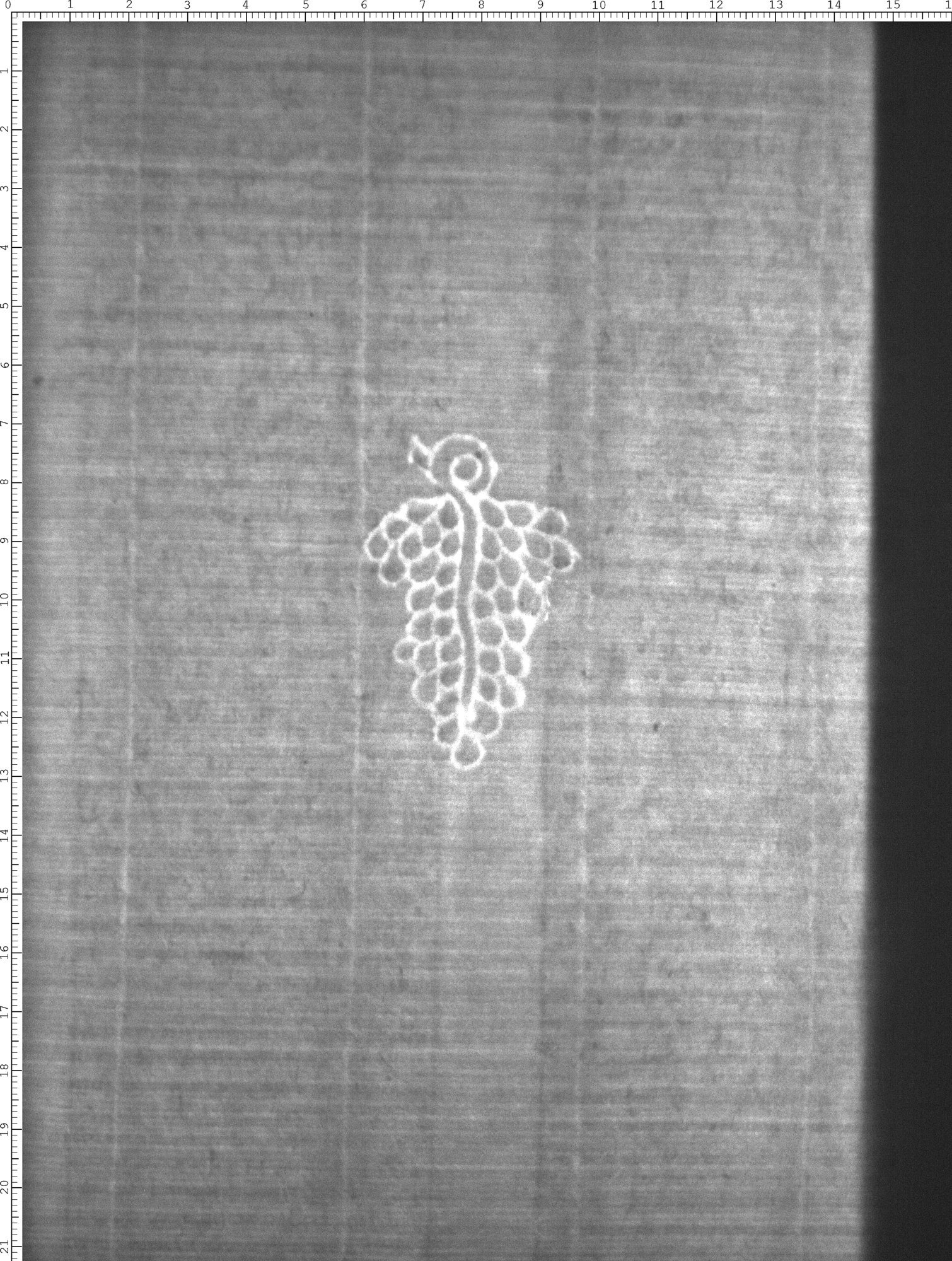 Watermark