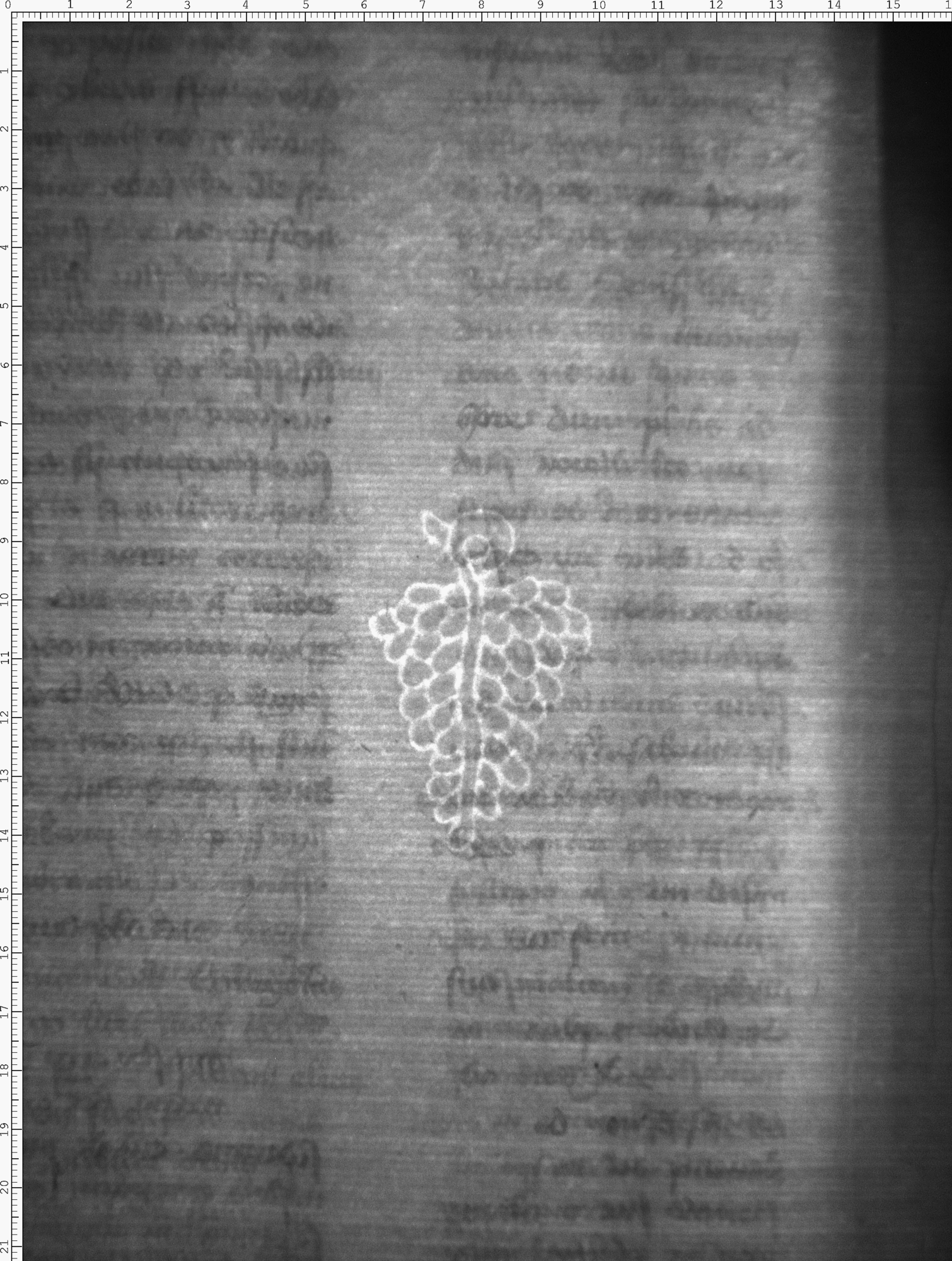 Watermark