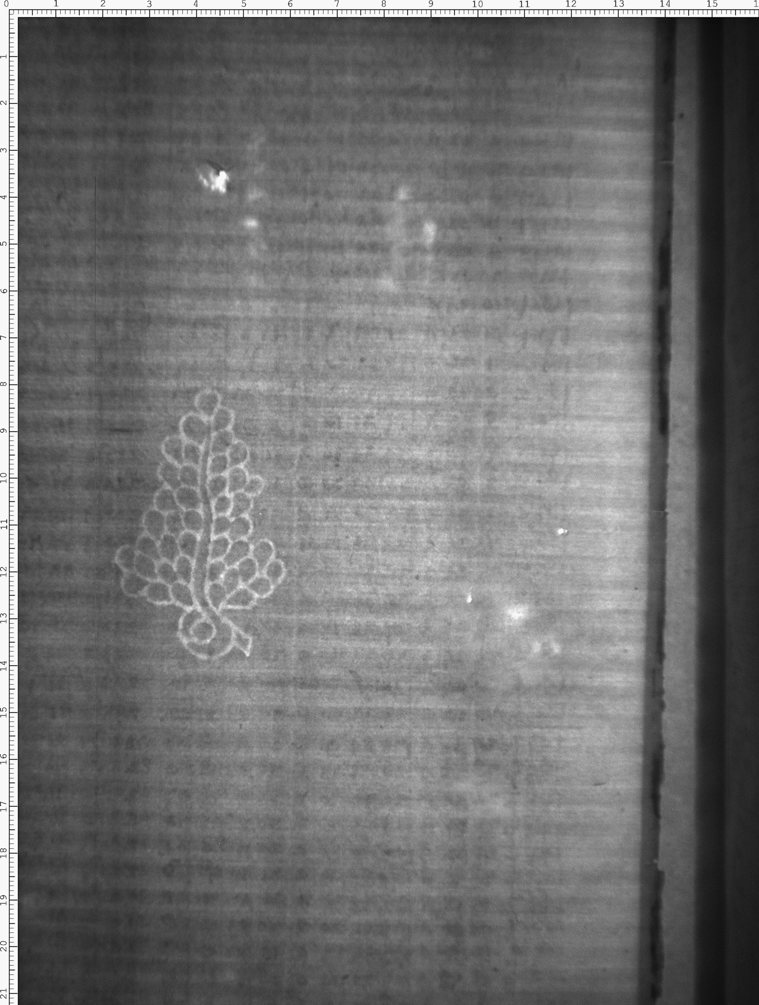 Watermark