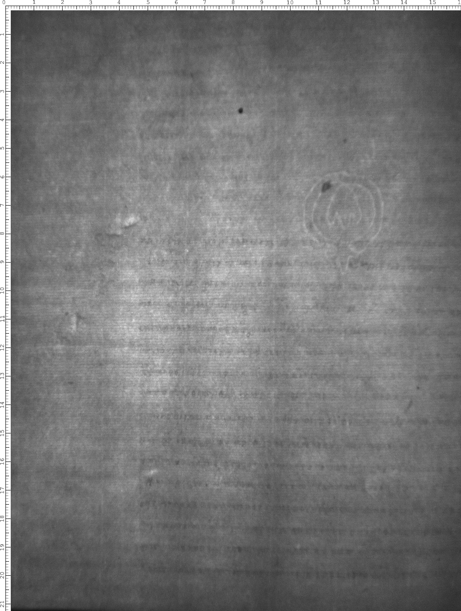 Watermark