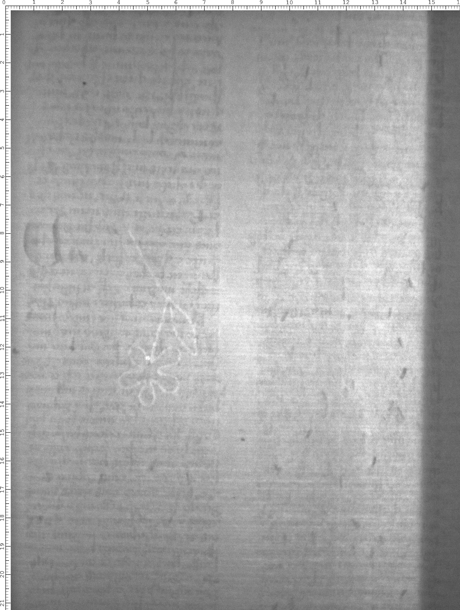 Watermark