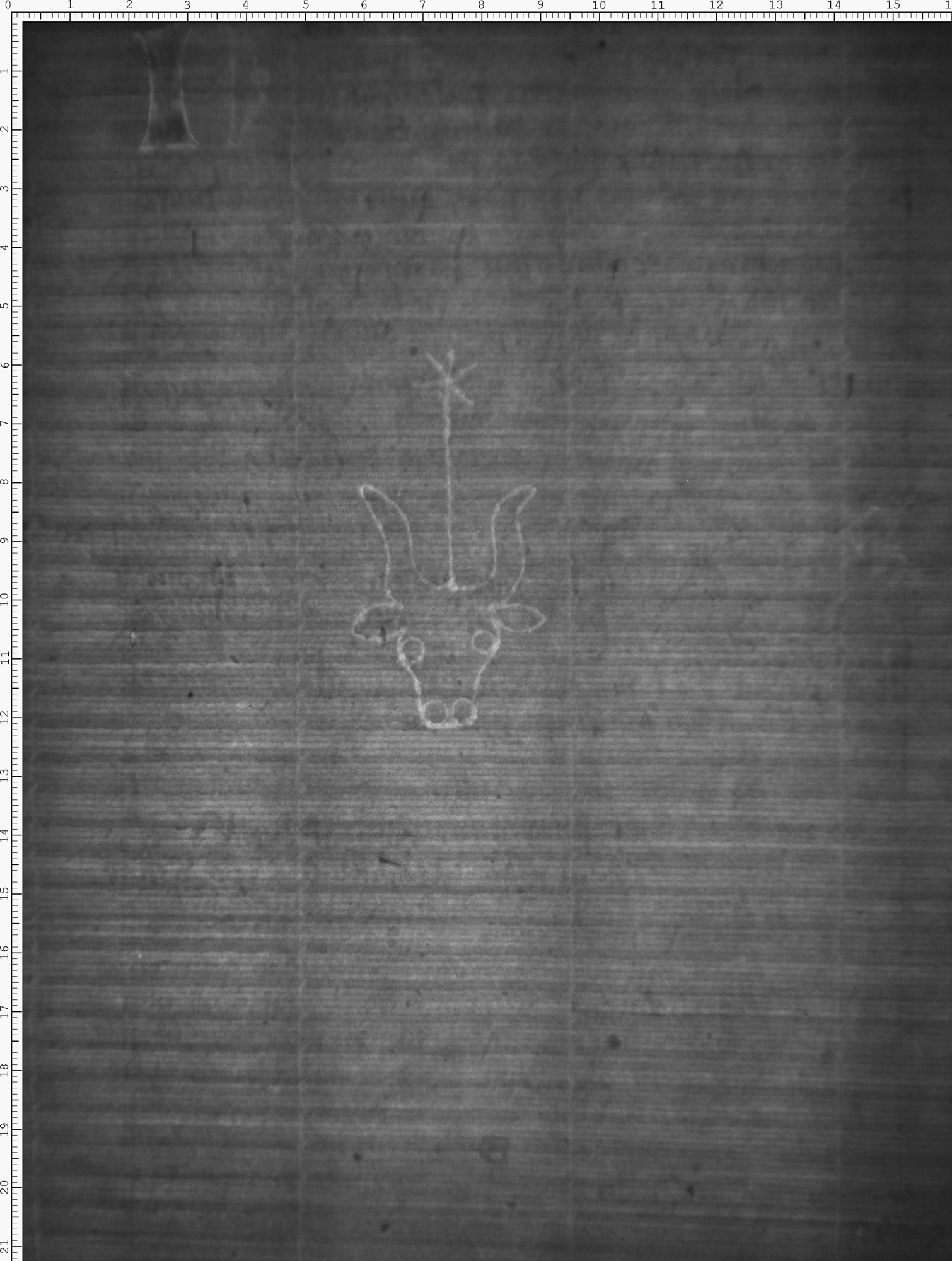 Watermark