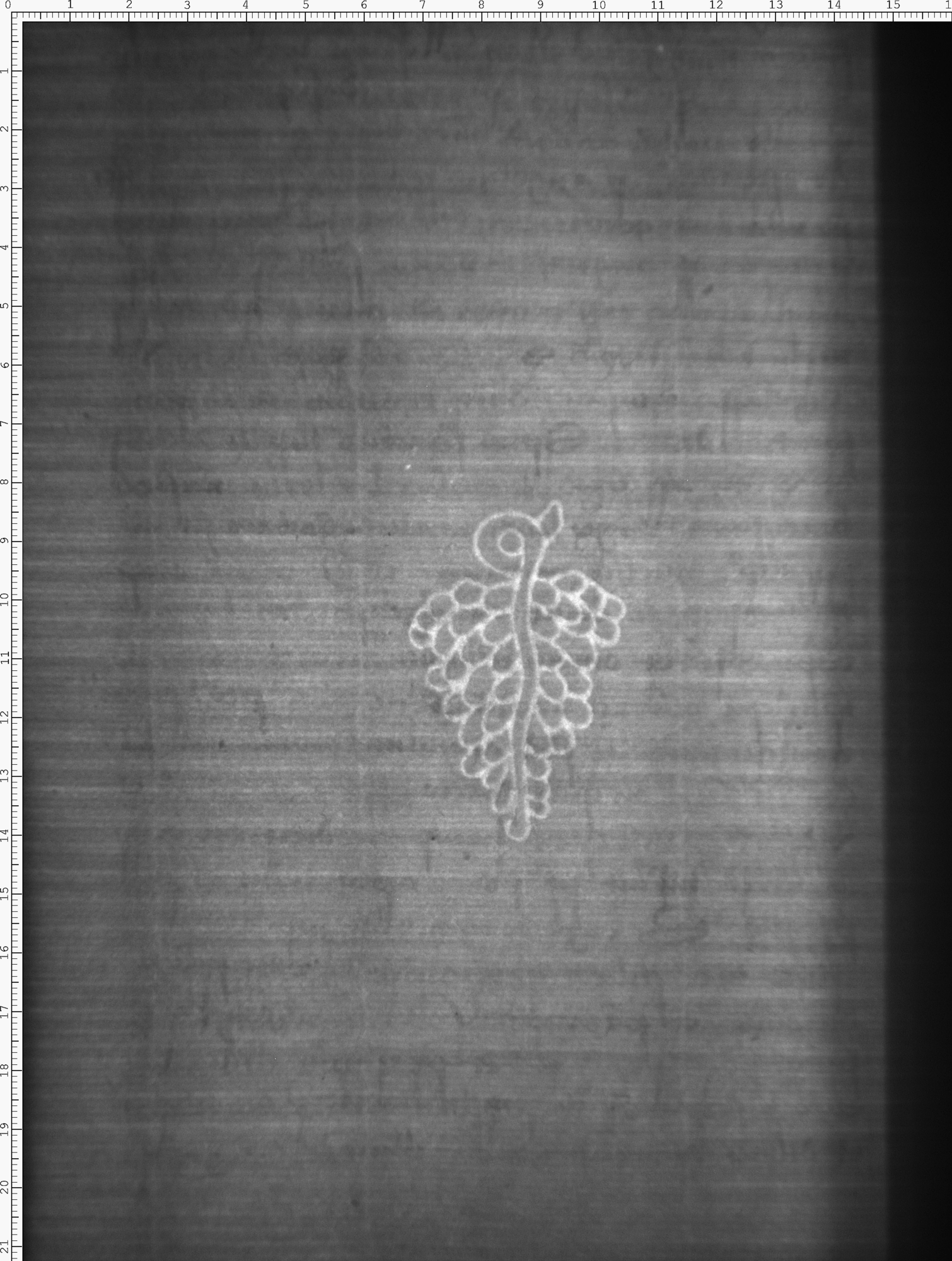 Watermark