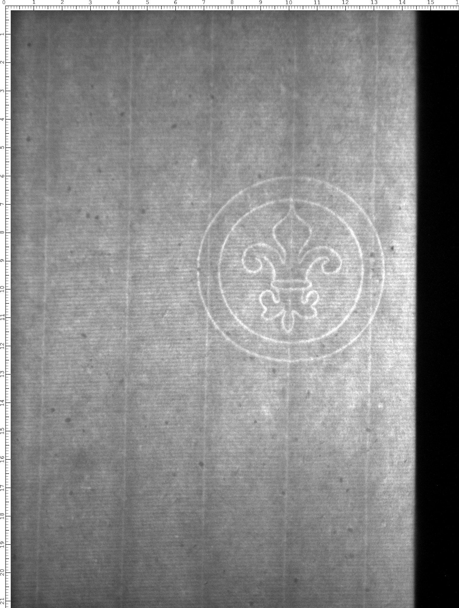 Watermark