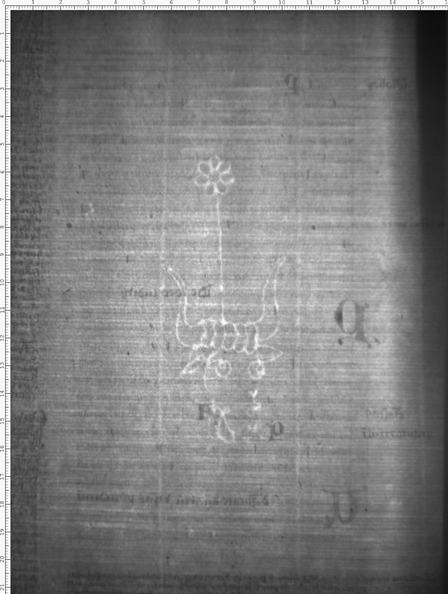 Watermark